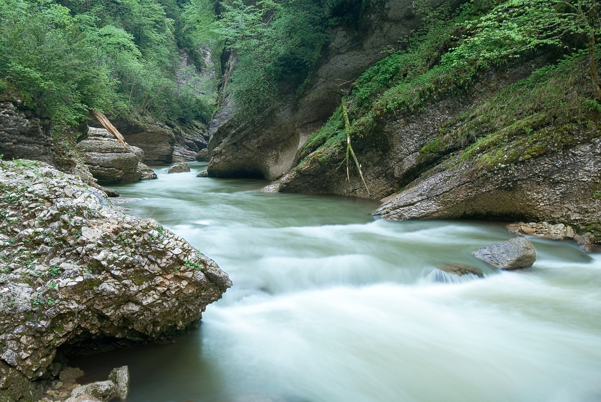 山水相间,是黄山余脉与钱塘江水系源流,景区内森林覆盖超过90%,植被