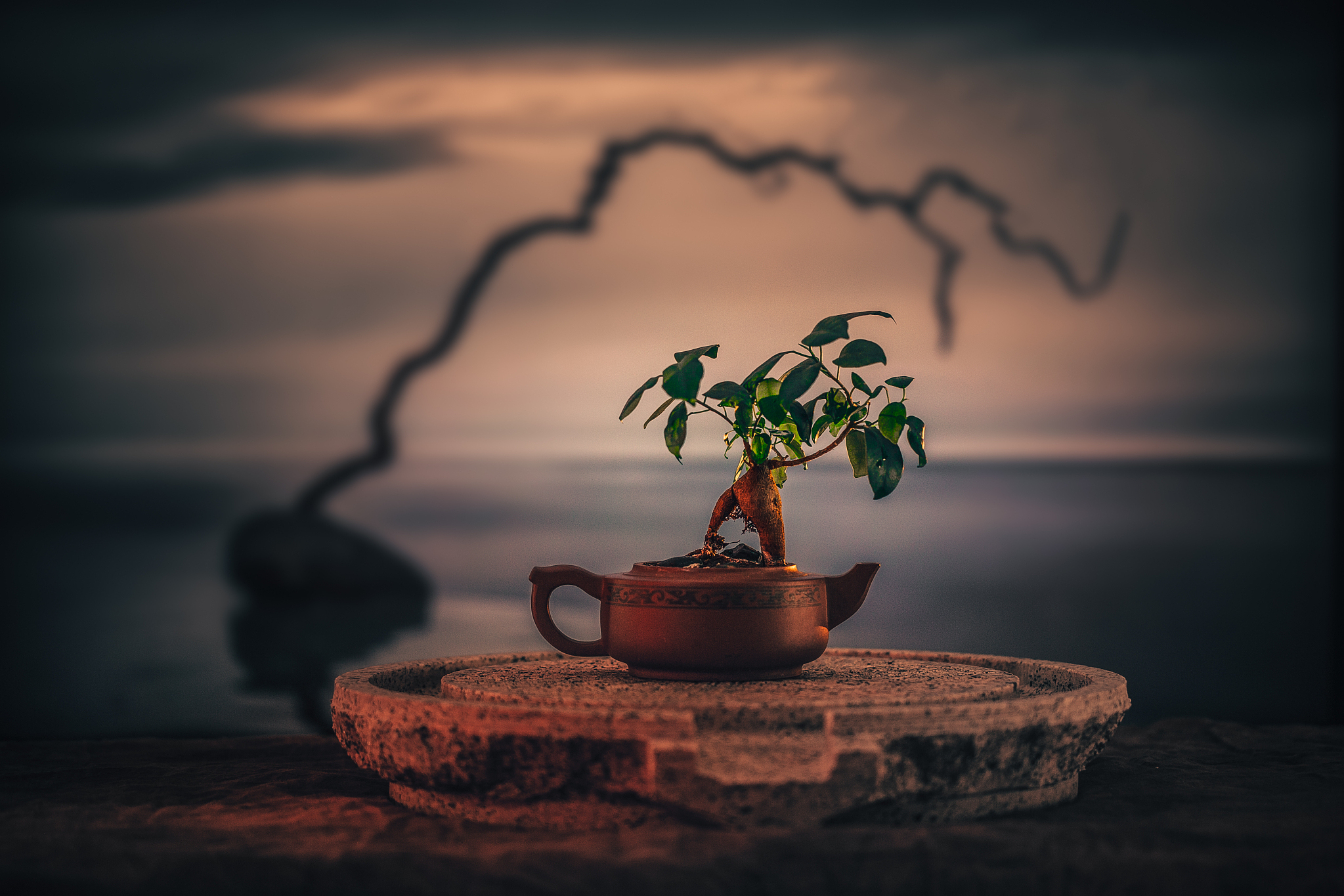 余生,愿我们修得一个静,从容面对一切