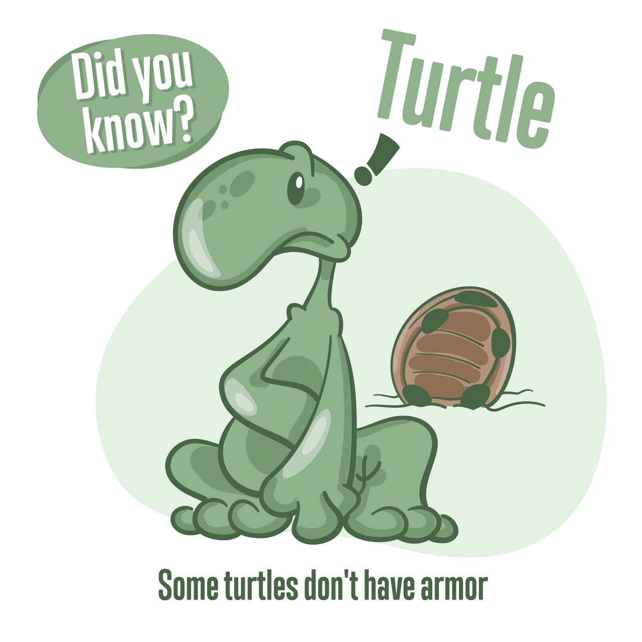 turtle库