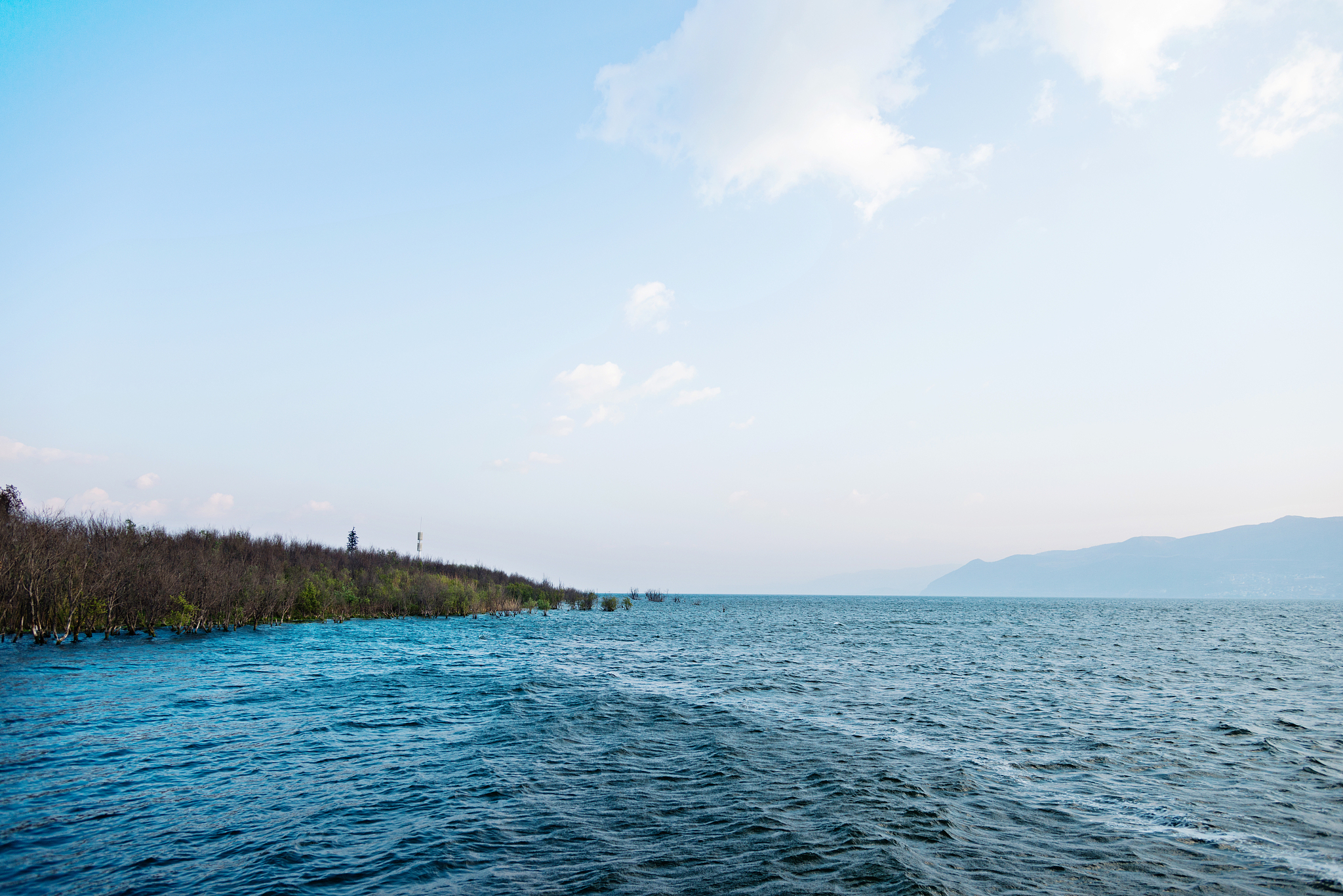 通海杞麓湖:与野生动植物亲密接触,感受大自然的魅力