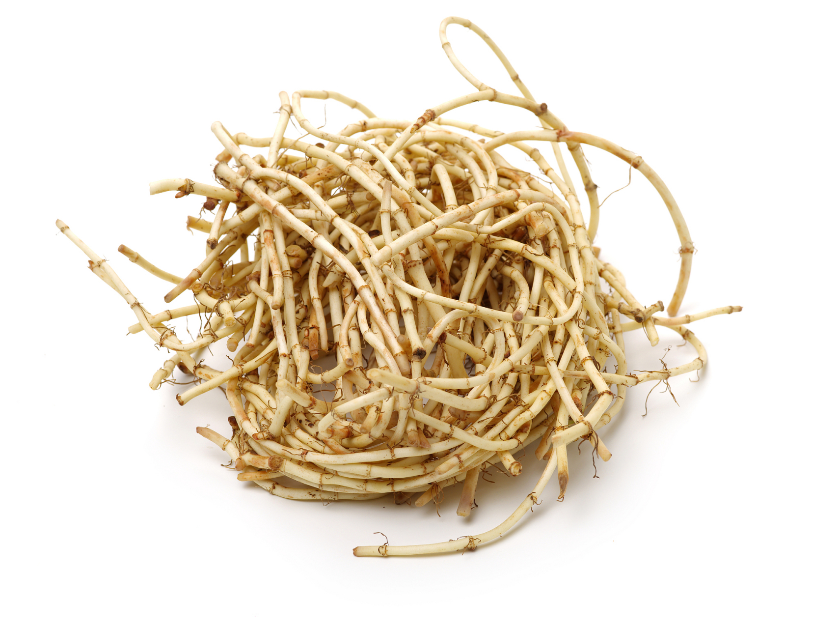 癌症患者的一味天然"消炎药",清三焦之火,餐桌上常见它的身影!