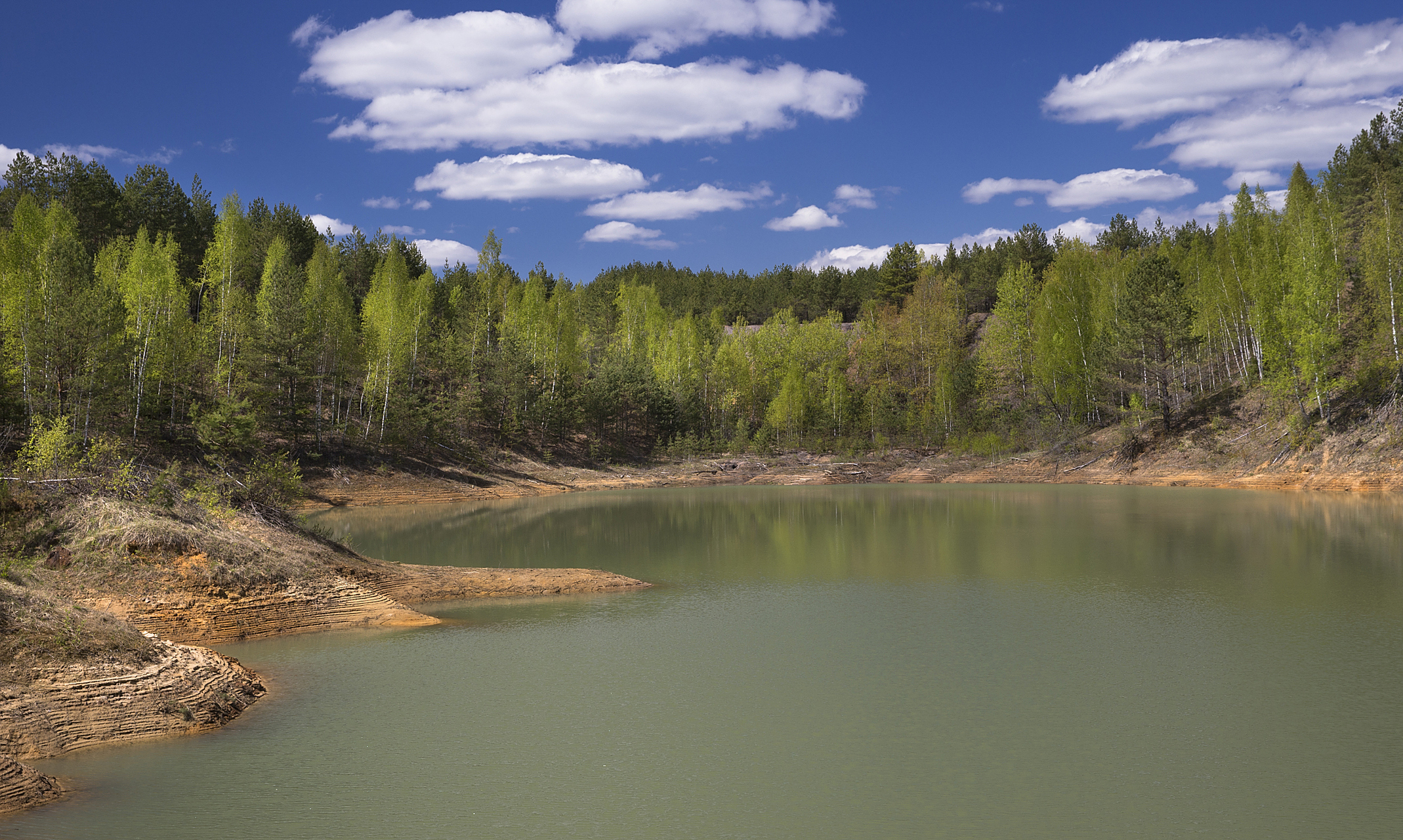大亮子河国家森林公园,隐藏在黑龙江省的佳木斯市,拥有神奇的原始红松