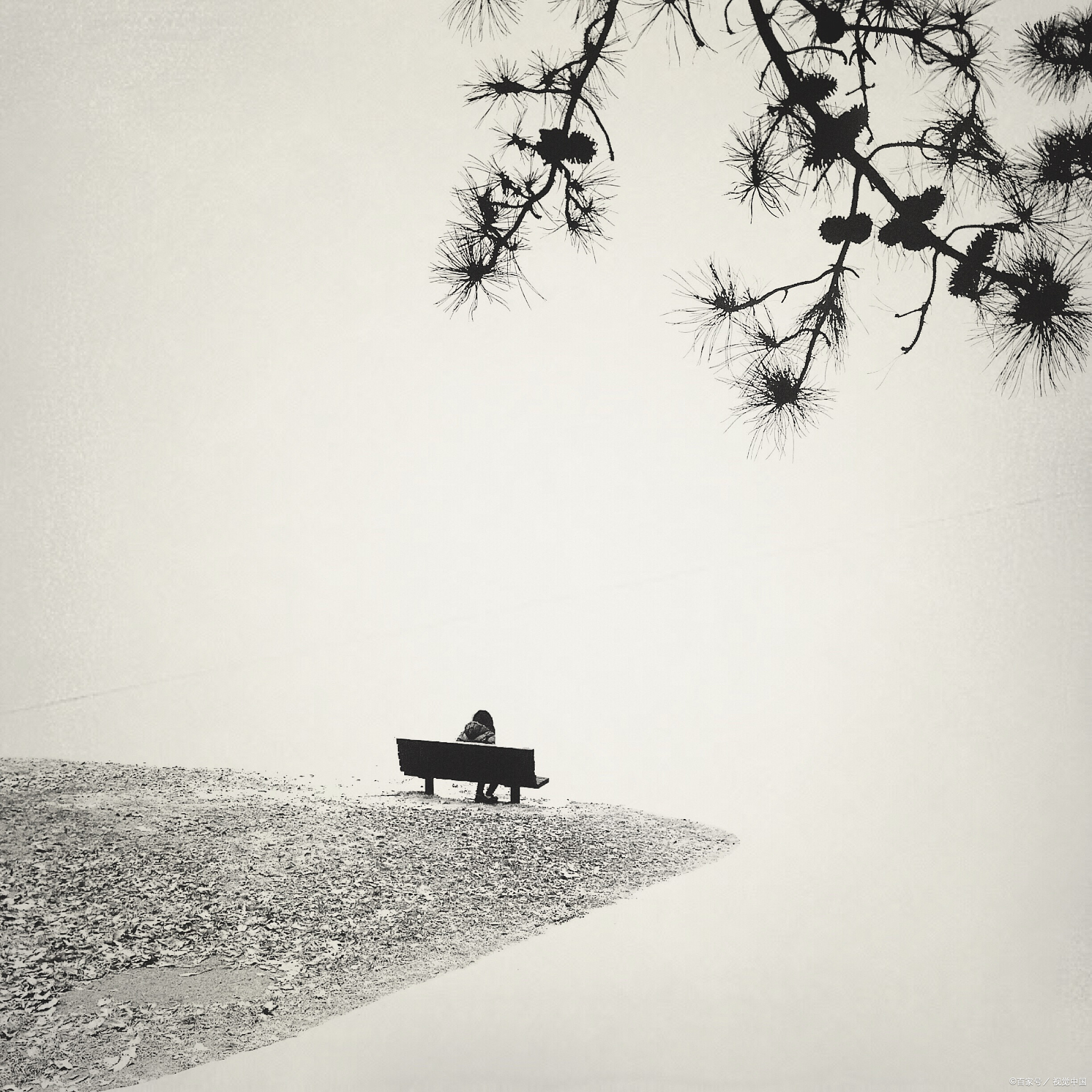 咱们啊,有时候就是对那些个层次不高的人太过仁慈了,结果呢,往往是