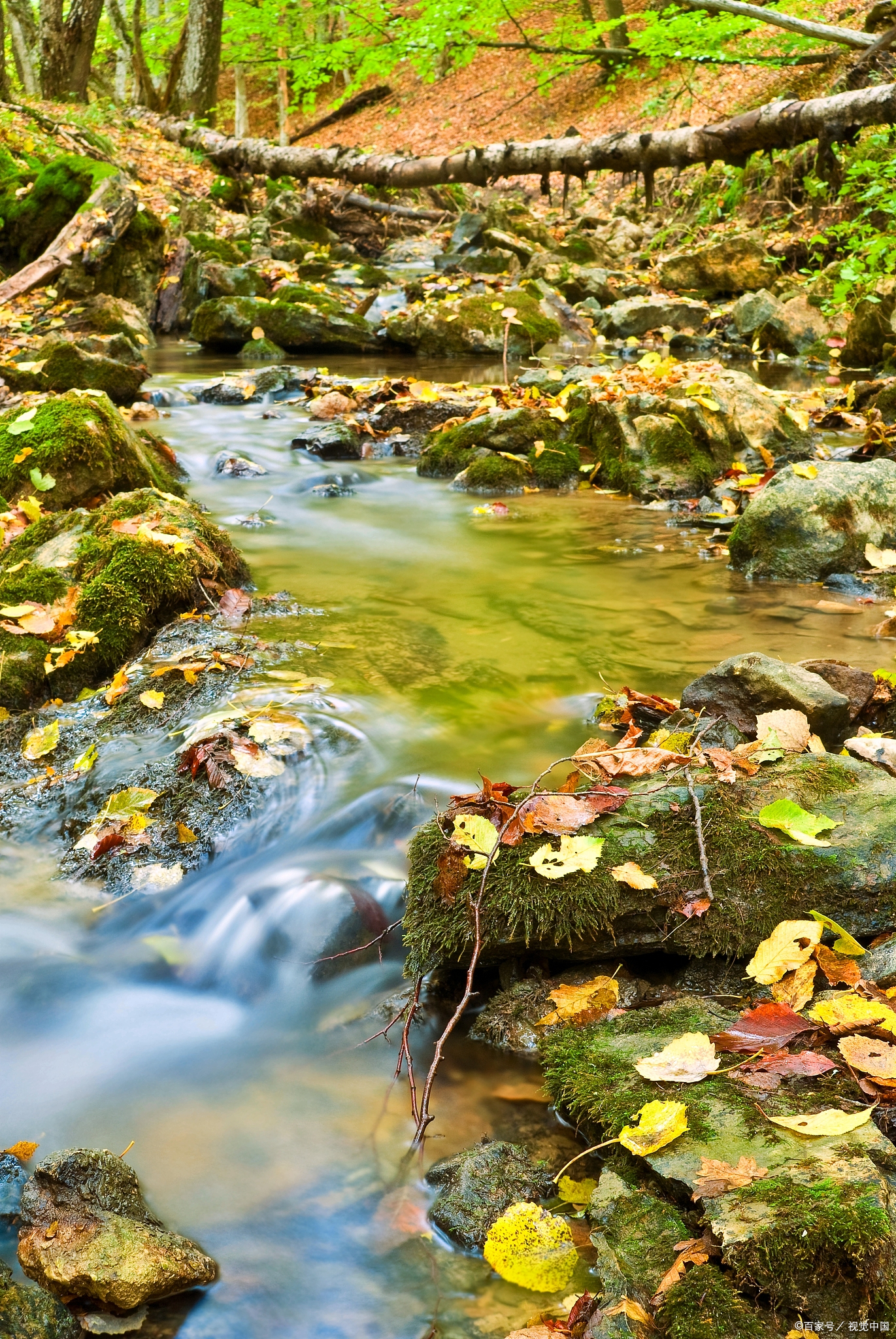 这样的异性,举止轻浮,别说自己非单身,哪怕是到了几十岁,也不会改了