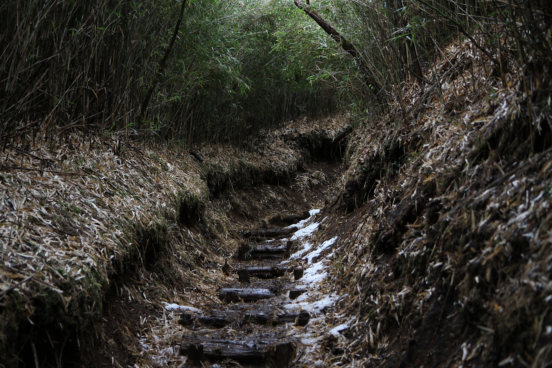 唐家河的阴平古道是一条穿越山区的古道,沿途风景秀丽,有许多古迹遗址