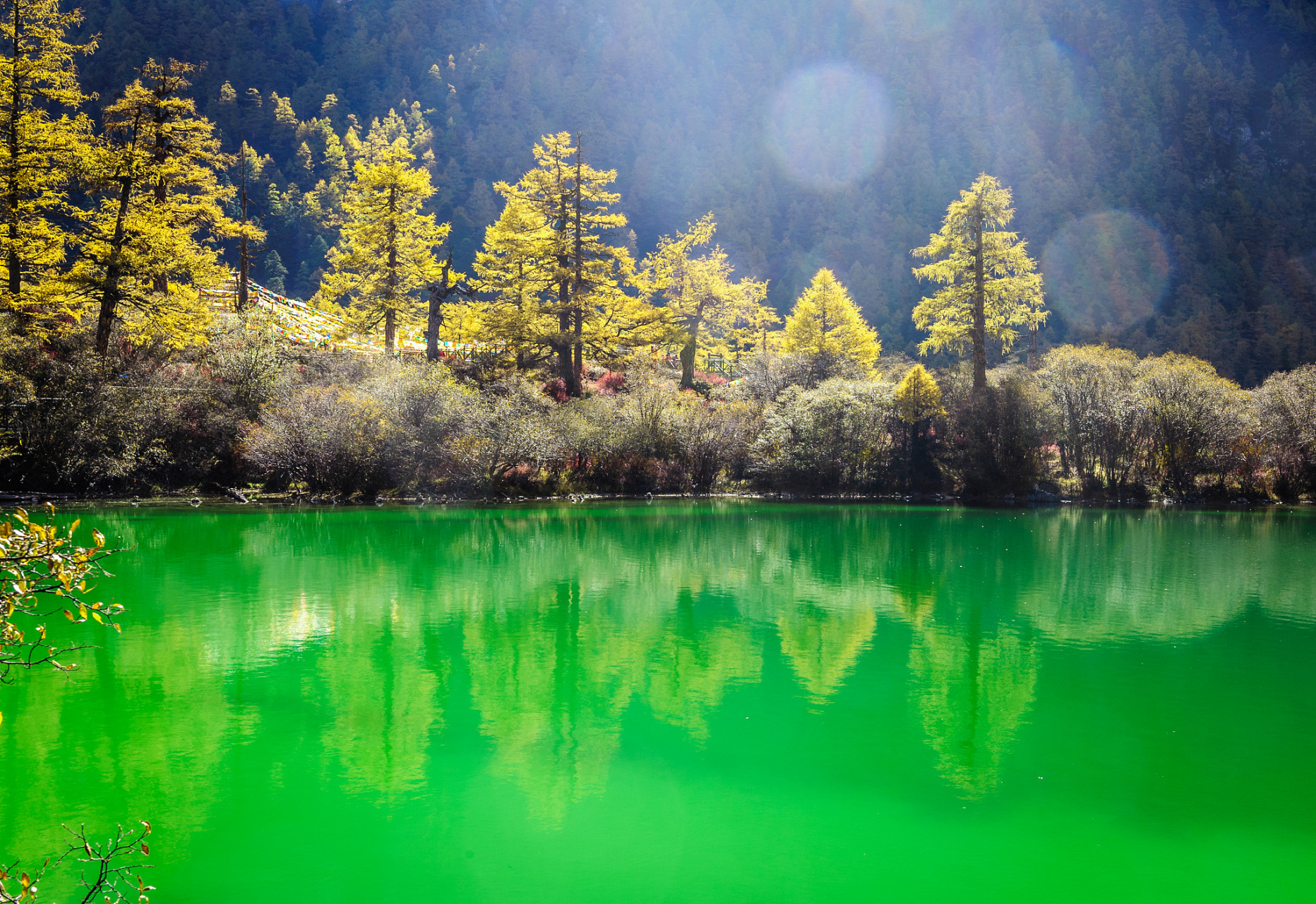 牟尼沟风景区位于松潘县西南牟尼乡境内.