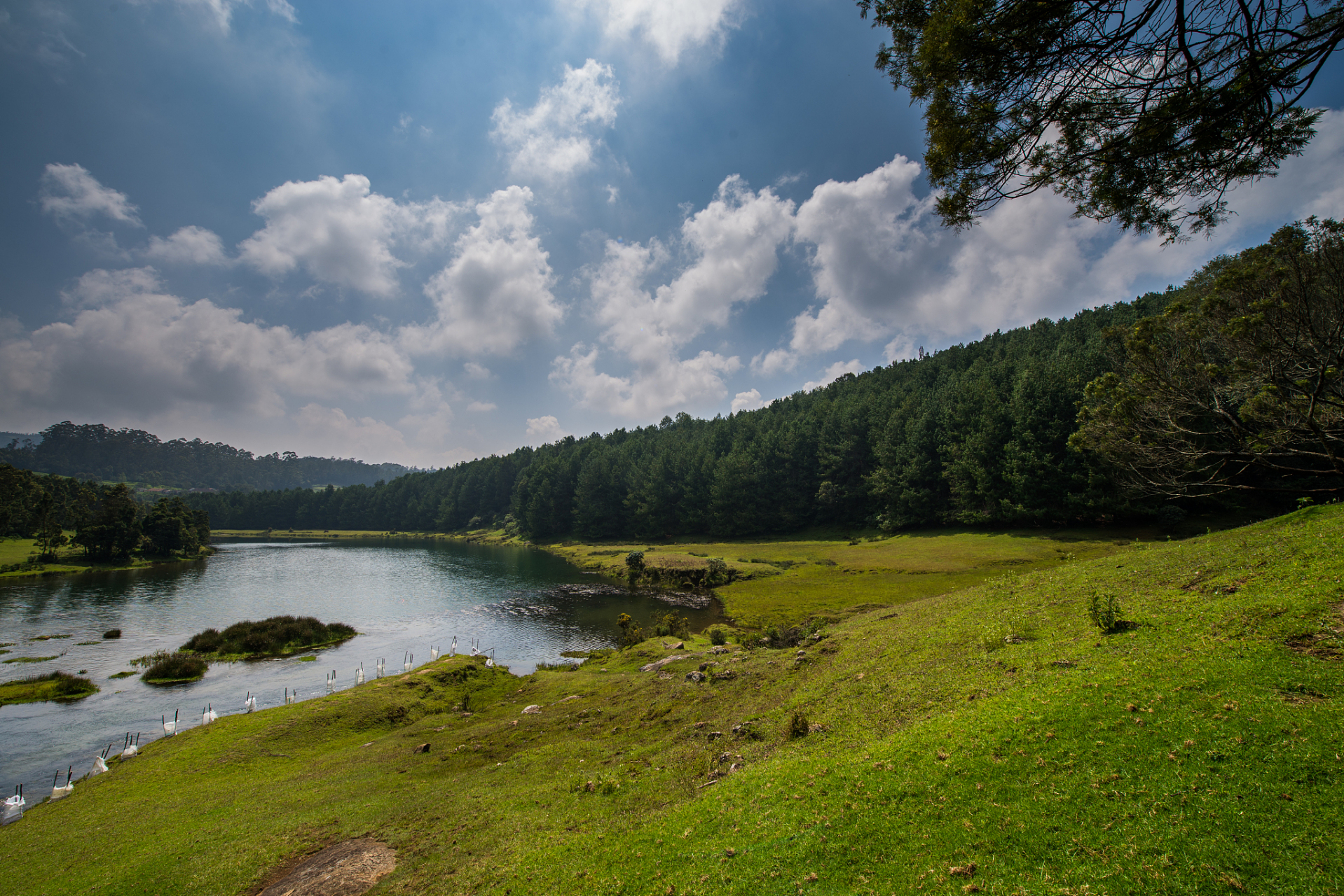 位于黑龙江省双鸭山市宝清县的完达山国家森林公园,犹如一颗璀璨的