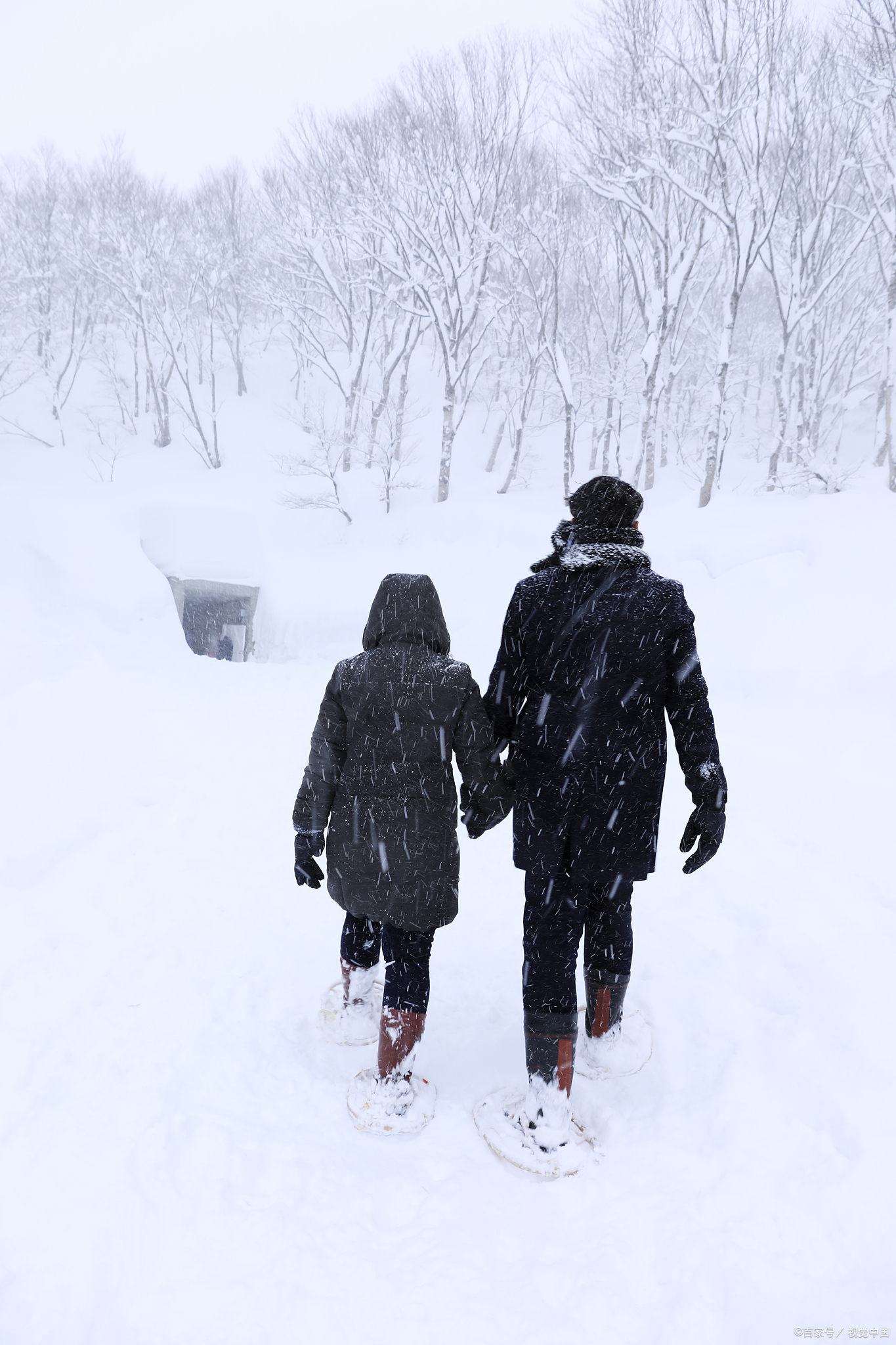 恋人雪中漫步图片图片