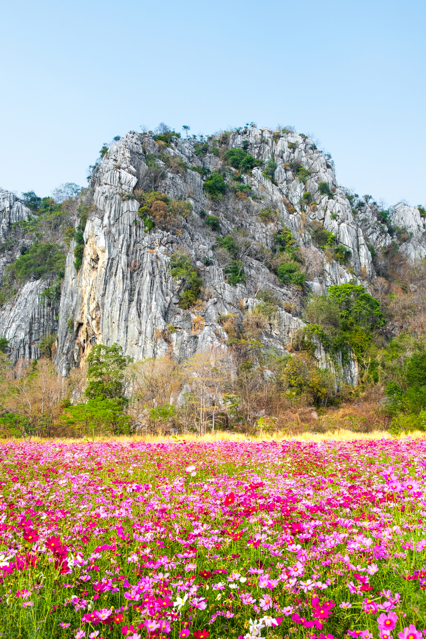 芜湖丫山花海石林图片