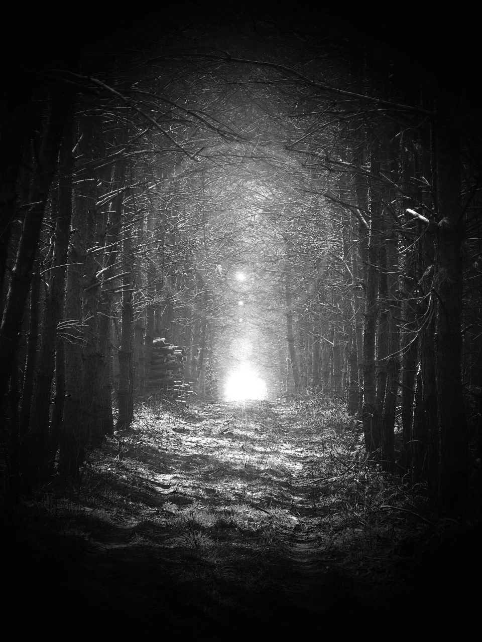 人生在世:我们在黑暗中寻找光明 当我们坚信自己有掌控命运的能力时