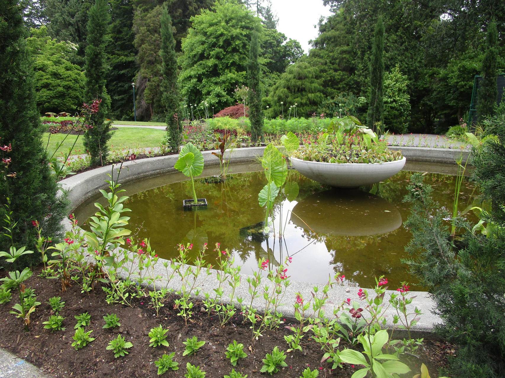 寻找百度ai写手计划# 池塘的形状有正方形,圆形,半圆形,不规则形多种