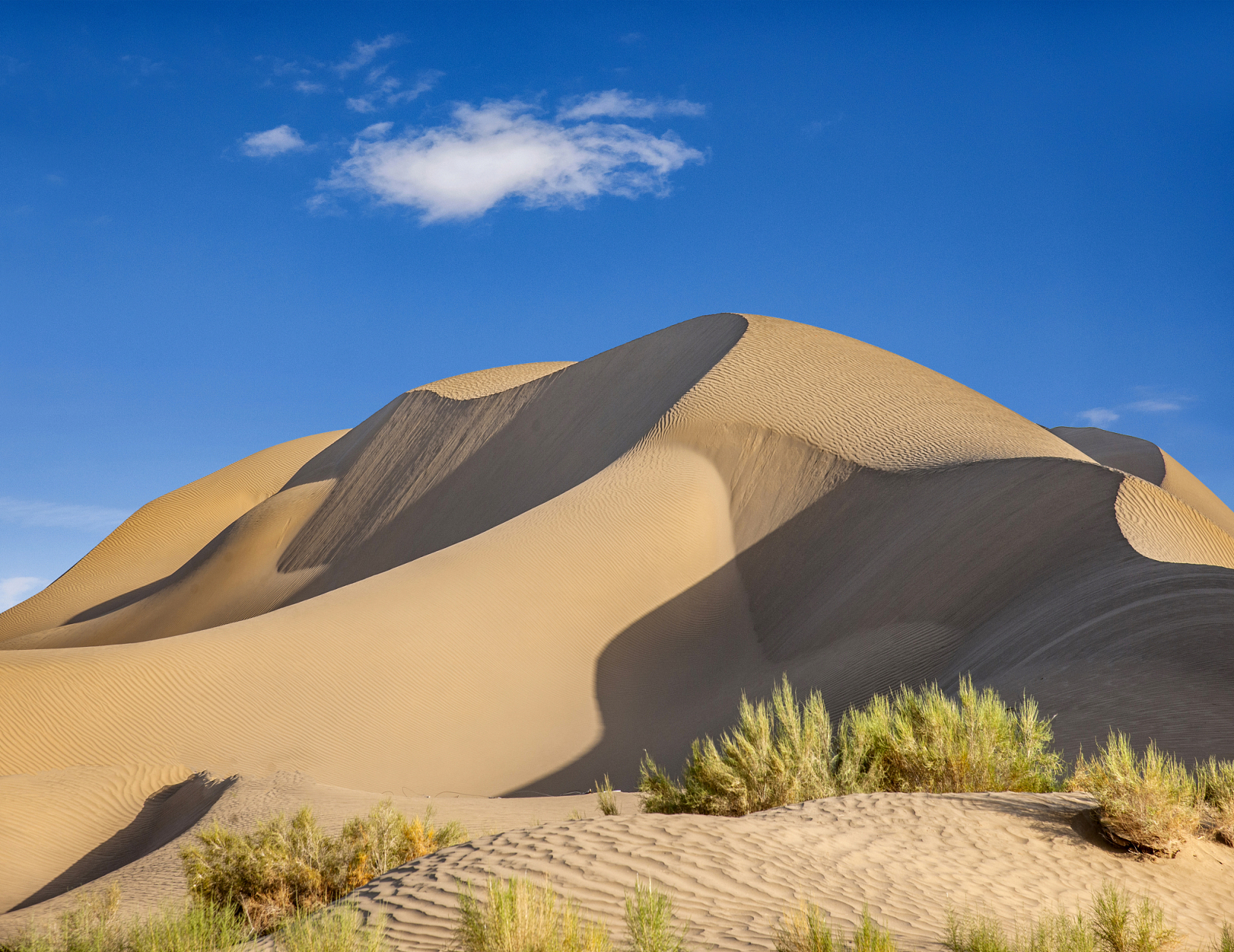 景区周边是一片广袤的沙漠,但是在这里,你却能品尝到各类美味的小吃.
