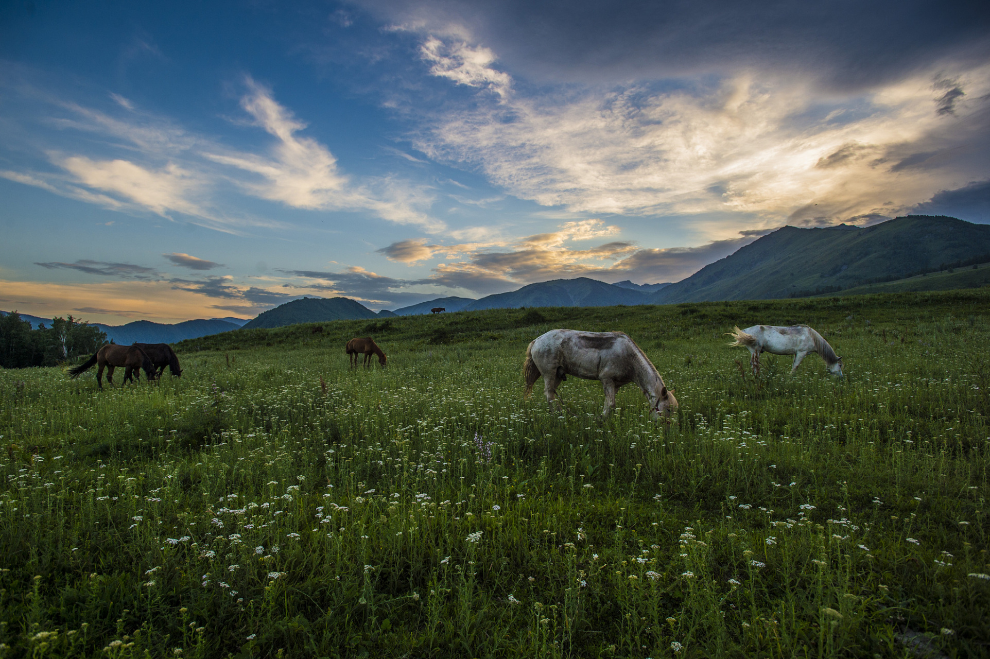 乌蒙大草原位于我国贵州省六盘水市盘县北部,是一个风光秀丽,气候宜人