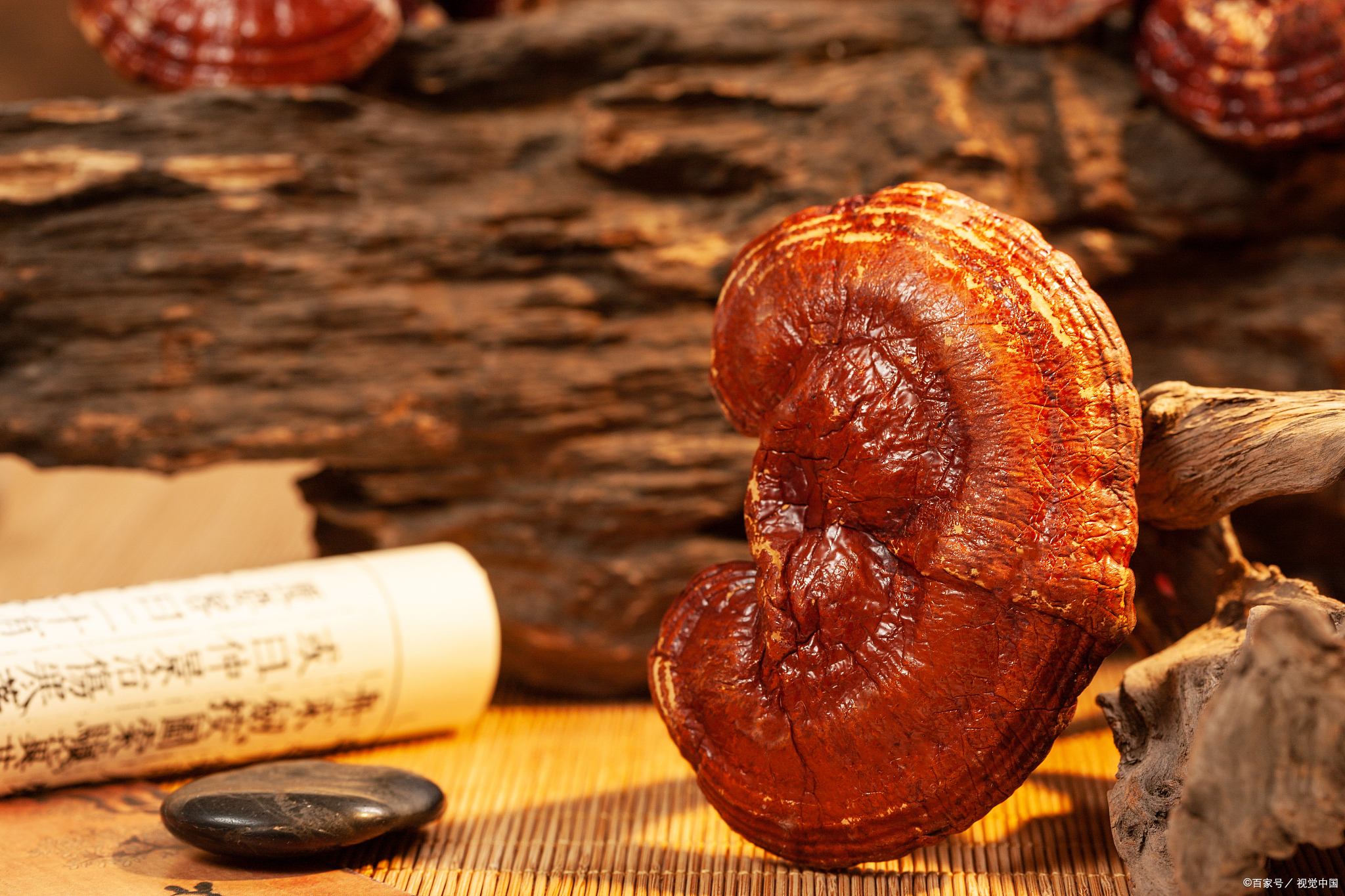 从《神农本草经》到《本草纲目》,中医认为六色灵芝即为"六芝",分别为