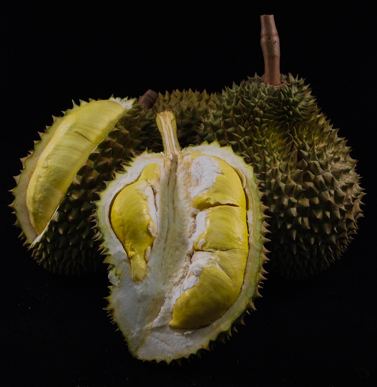 三亚榴莲6月将大规模上市 据人民网报道,近日,三亚育才生态区榴莲基地