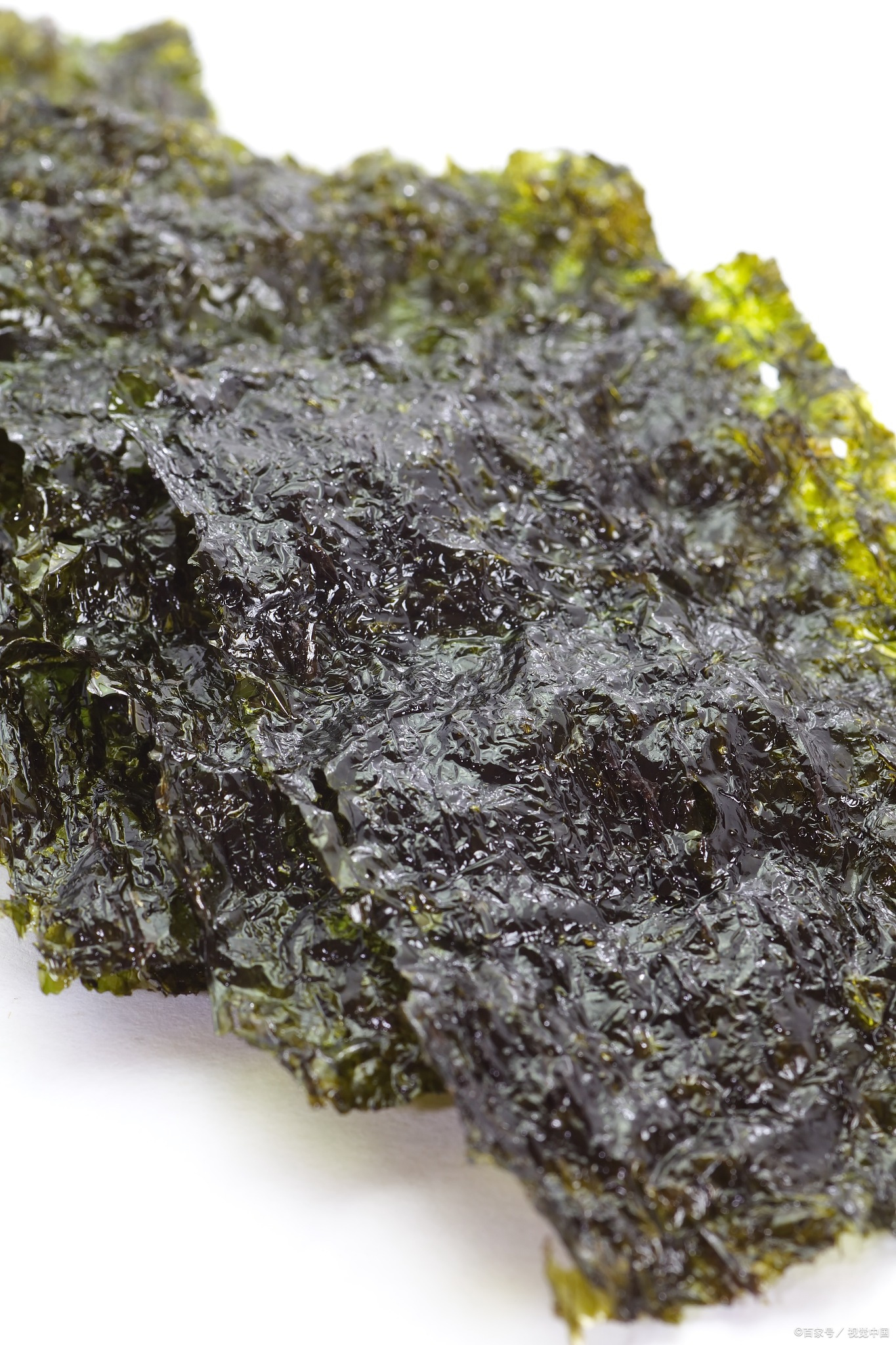 海苔的功效与作用#健康经验笔记#