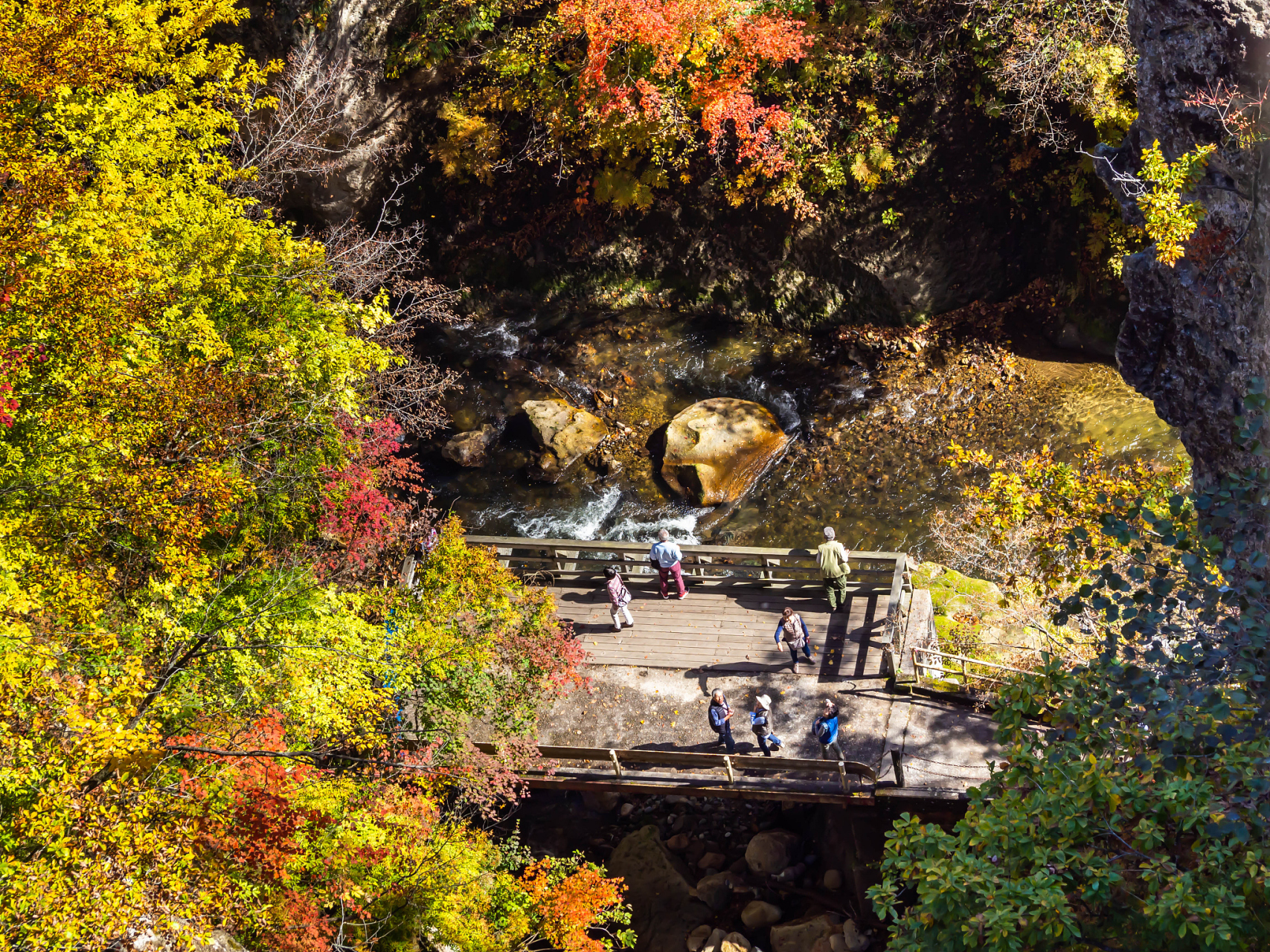 辽宁桓仁的枫林谷景区,集森林,溪水,氧吧,枫叶于一体,是旅游度假的好