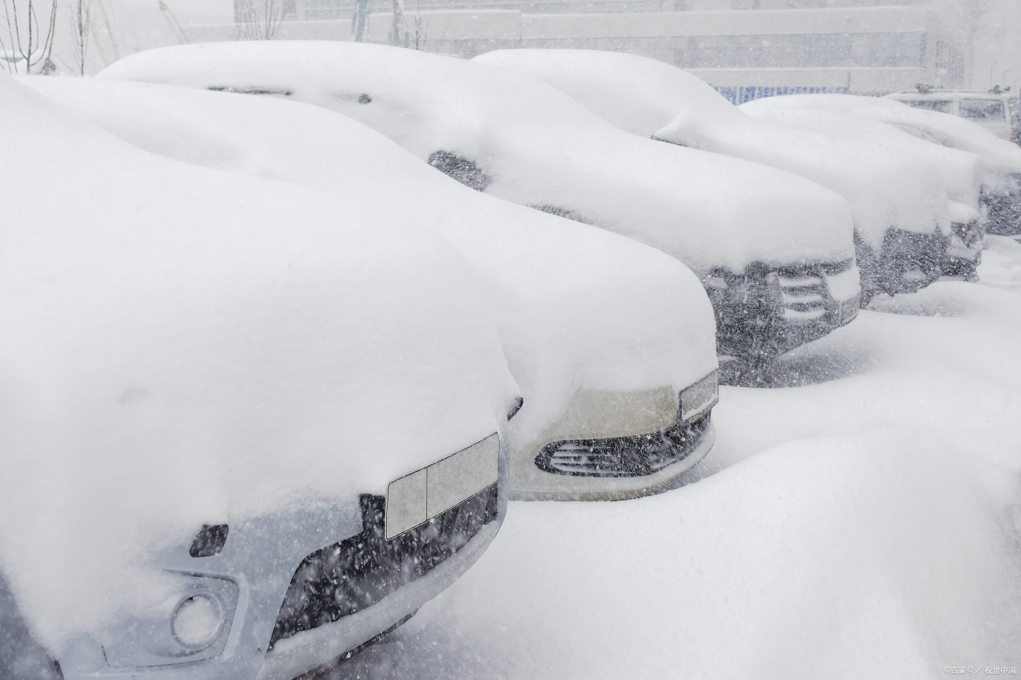 大雪照片真实图片