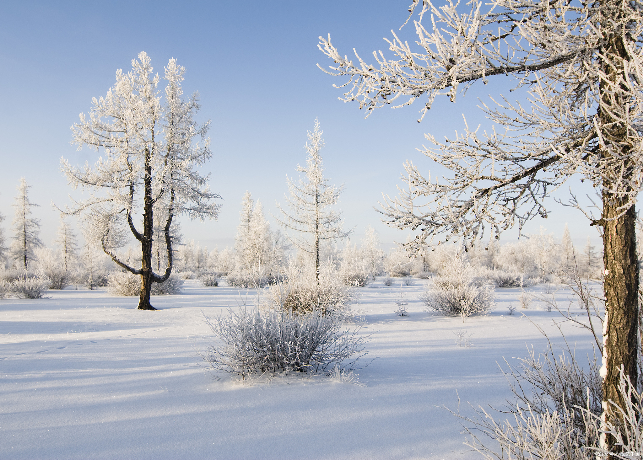 今年冬天真的是太冷了,出门两步就感觉要冻僵了.