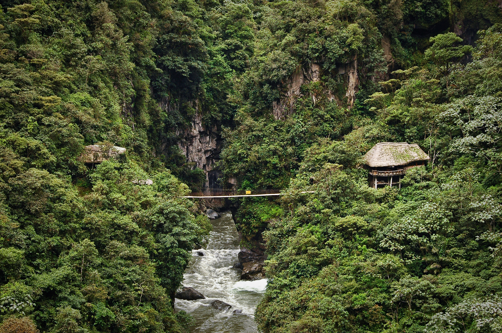 雅安碧峰峡旅游攻略图片