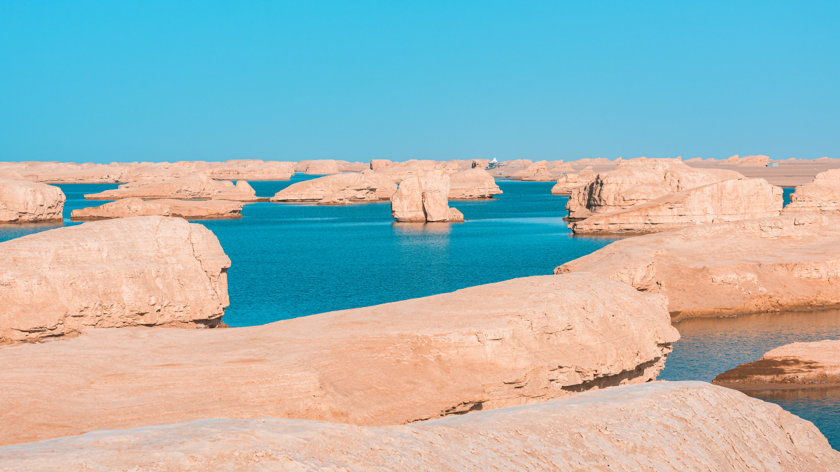 亲友甲为儿子付出了许多心血,他节衣缩食,把所有的希望寄托在儿子身上