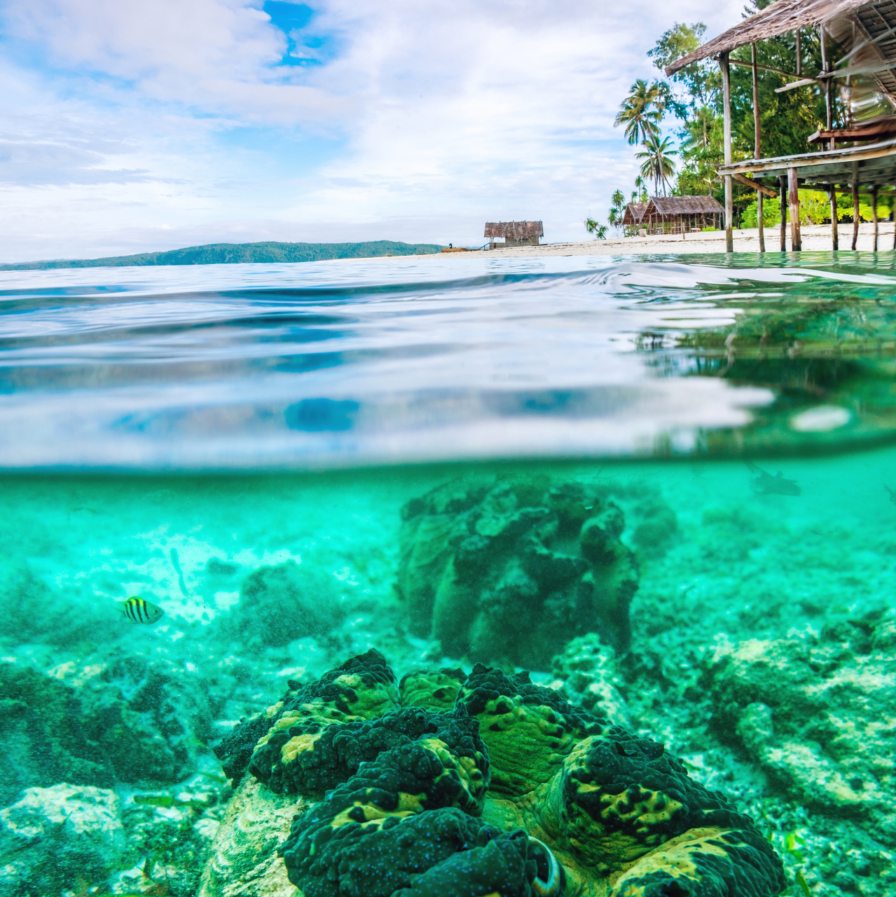 冬日冰雪漫游季# 仙本那(semporna)是沙巴州斗湖市的一个县,位于