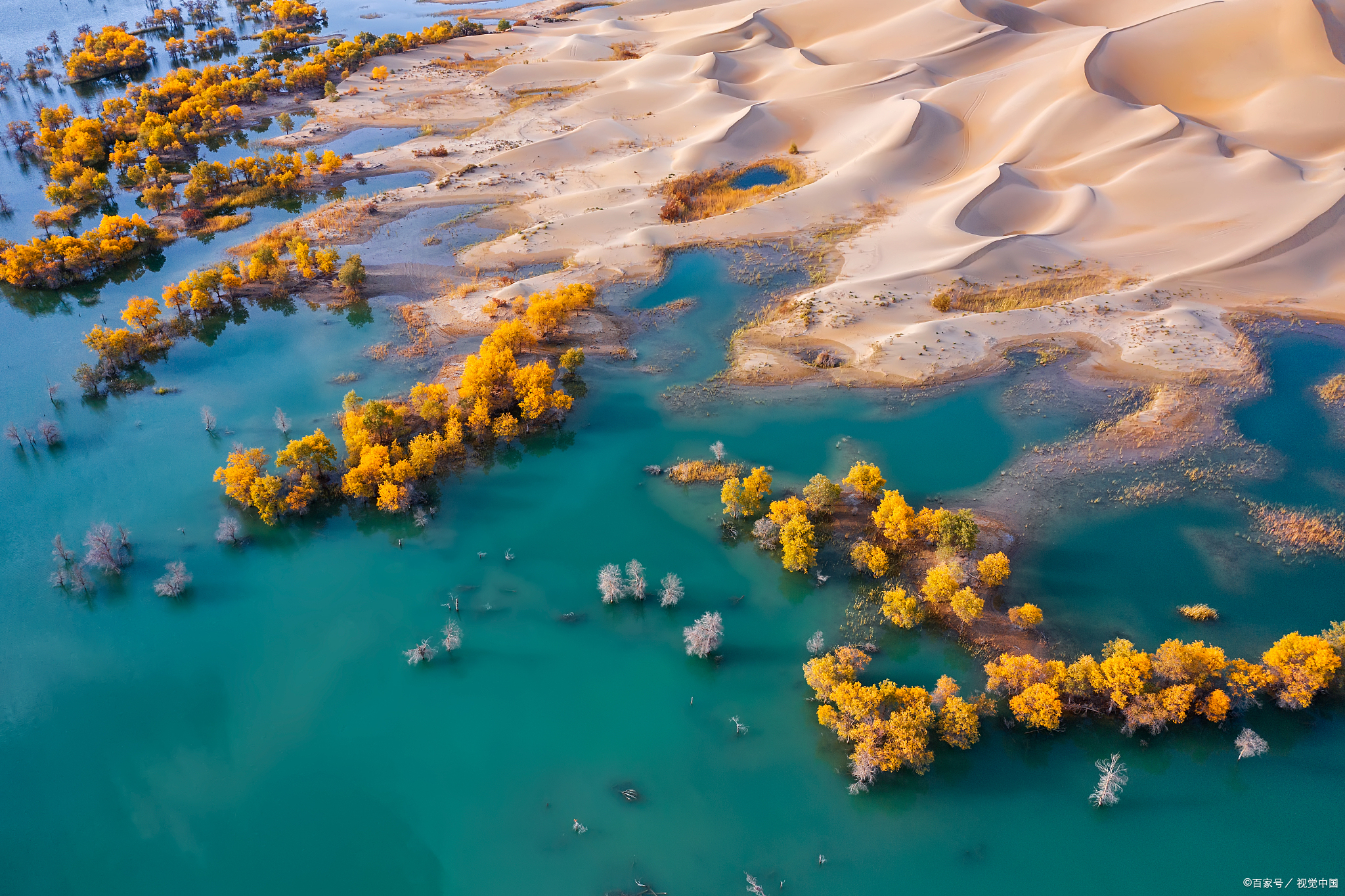 我国能否消灭塔克拉玛干,让沙漠变草原?如果真实现了是好是坏?