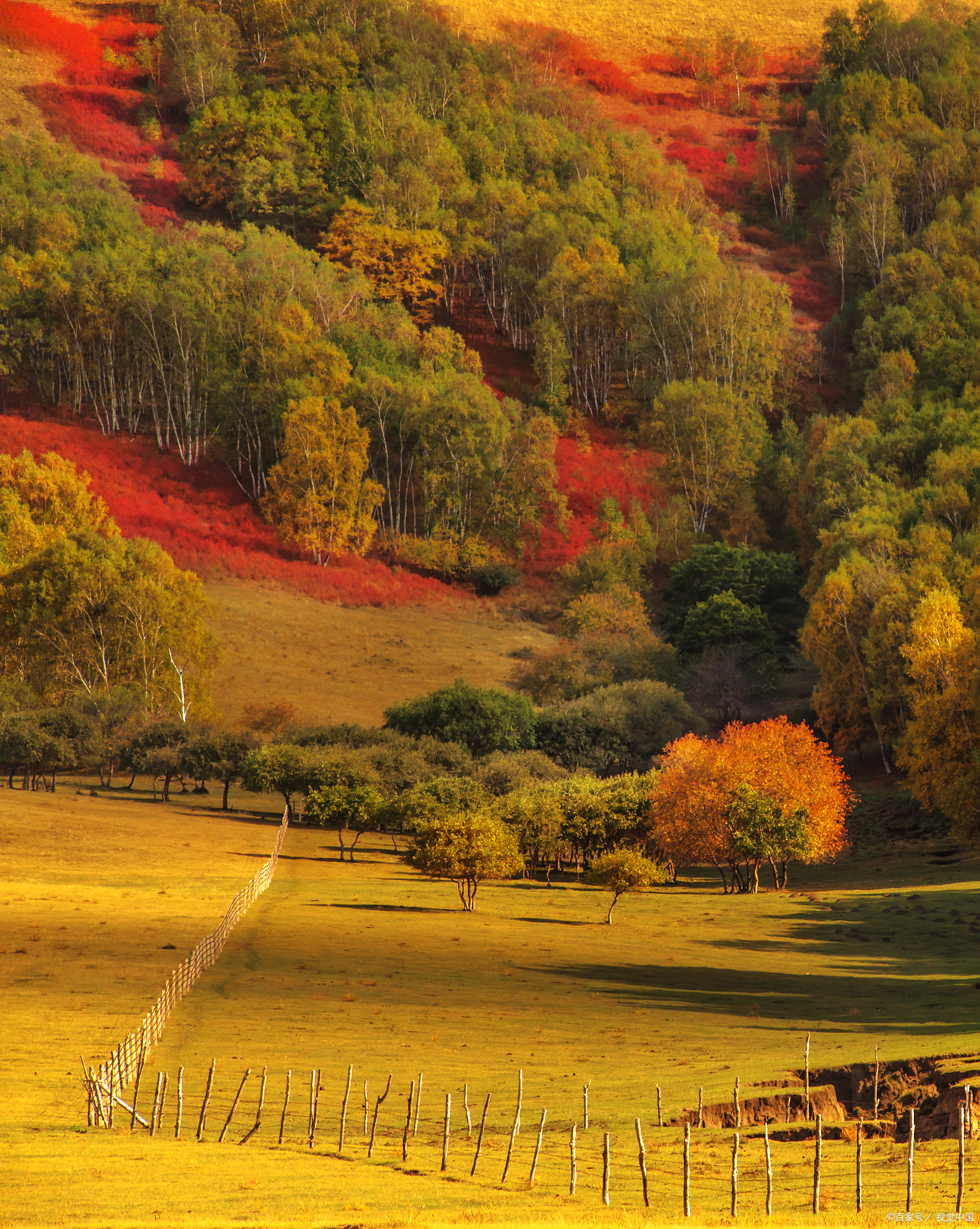 河北·坝上草原:逼疯摄影师的秋景