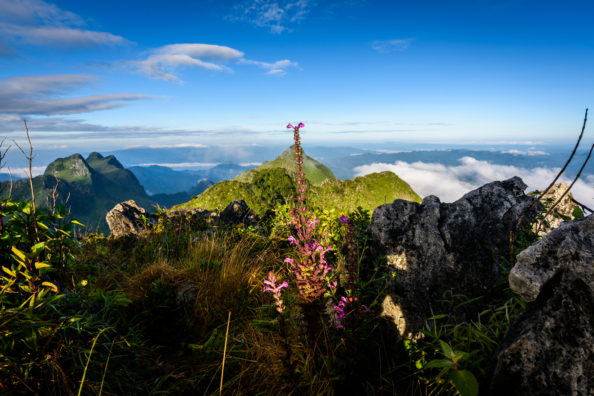 旅行中的治癒日常#夏日蓮峰雲海景區,坐落在九華山蓮花峰,位於九華山