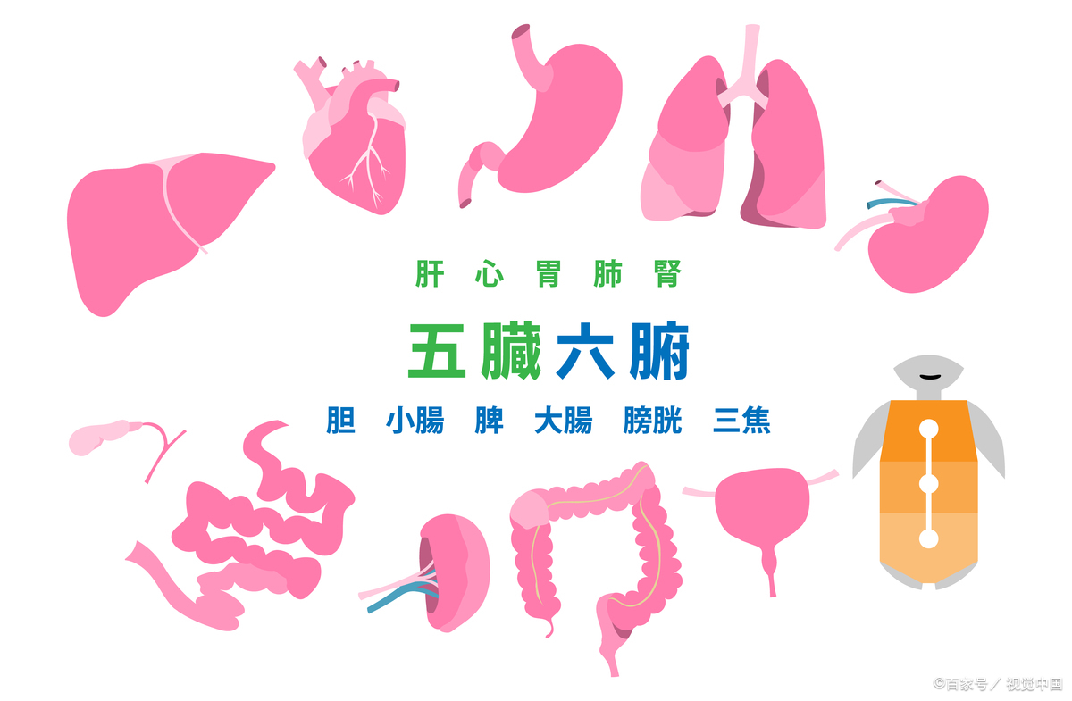 解密你的性格密码：中医眼中的五脏与七情