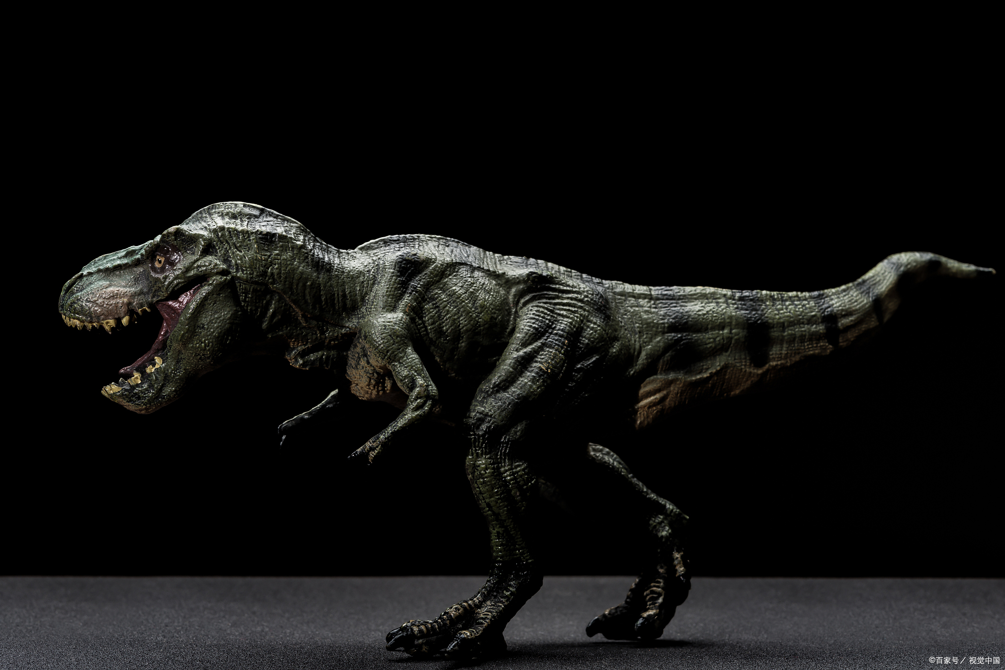 霸王龙vs猛犸象