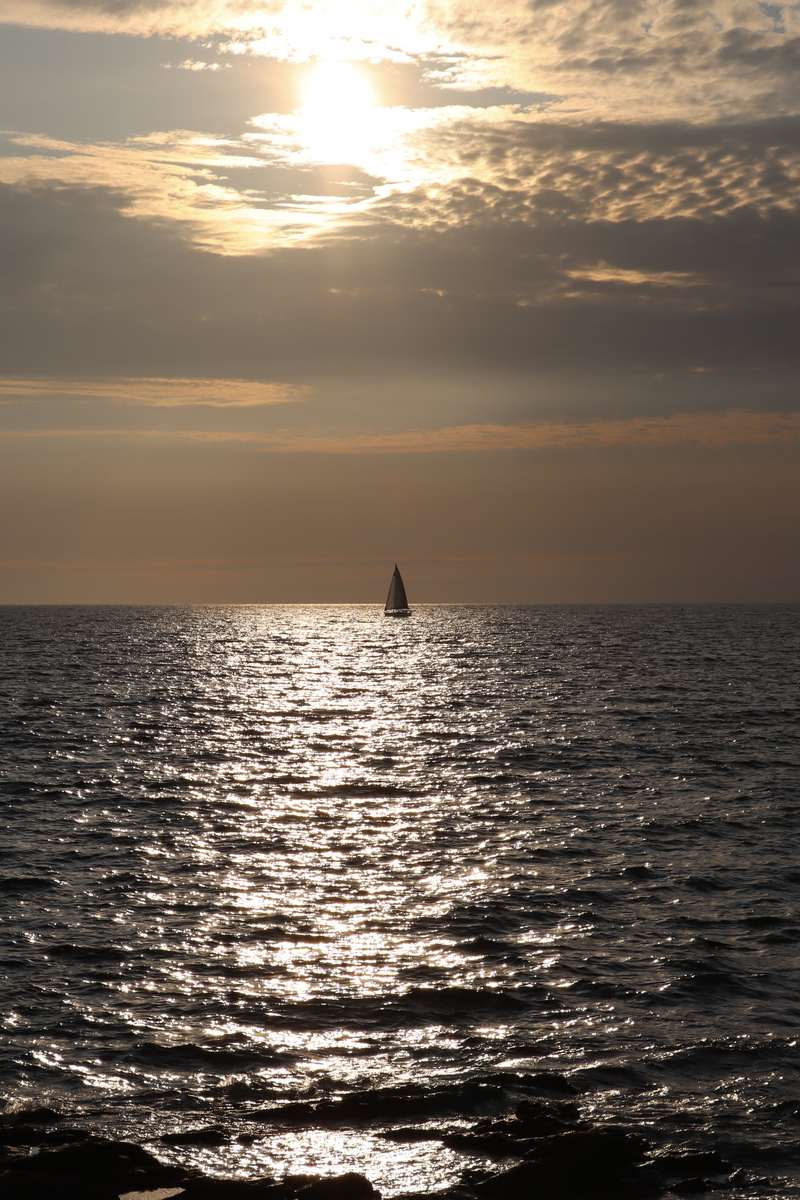 朋友圈虽空,心海却深邃宽广,每一朵孤独的浪花,都载着不为人知的深情