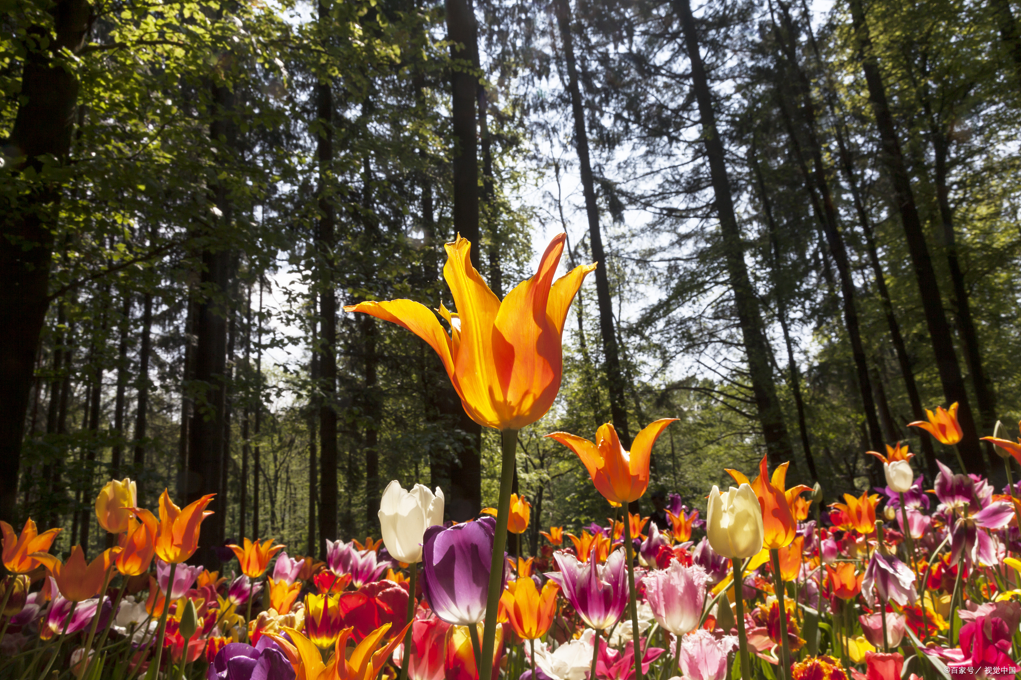 二,不止是要学会说话,还要学会倾听,因为沟通本来就是双向的,光说换