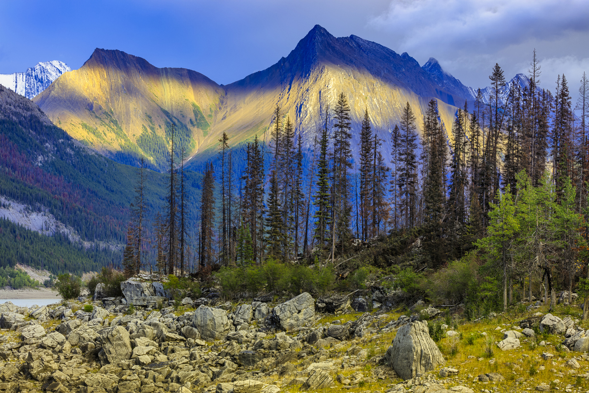 旅行中的治愈日常# 南伊沟:位于西藏林芝市米林县南部的南伊珞巴米邋