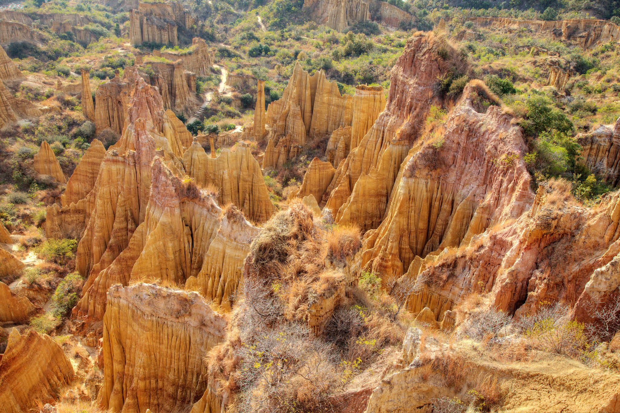 松原的乾安泥林,避暑旅游的地质奇观?