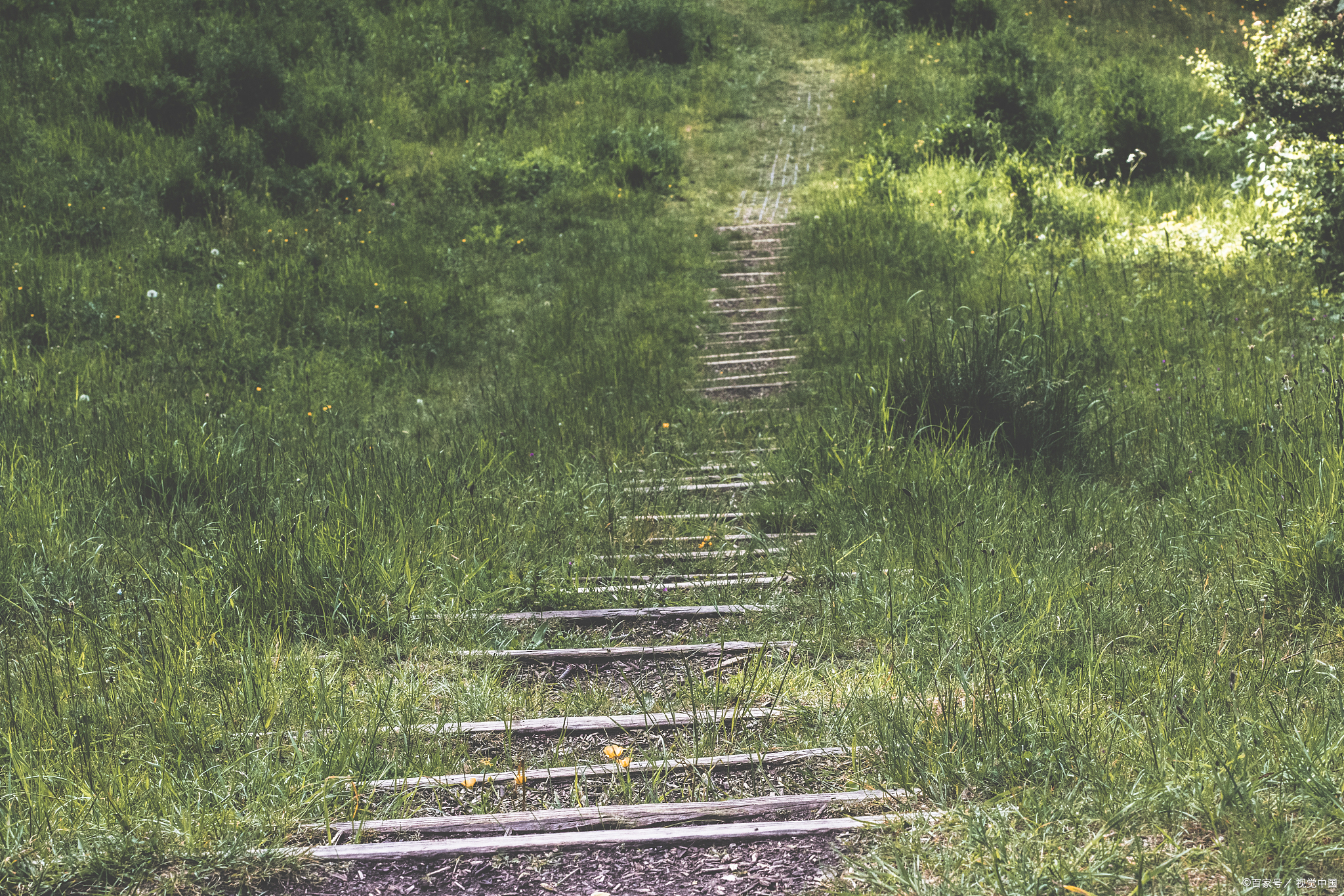 家庭教育,作为孩子成长道路上的第一课堂,其重要性不言而喻.