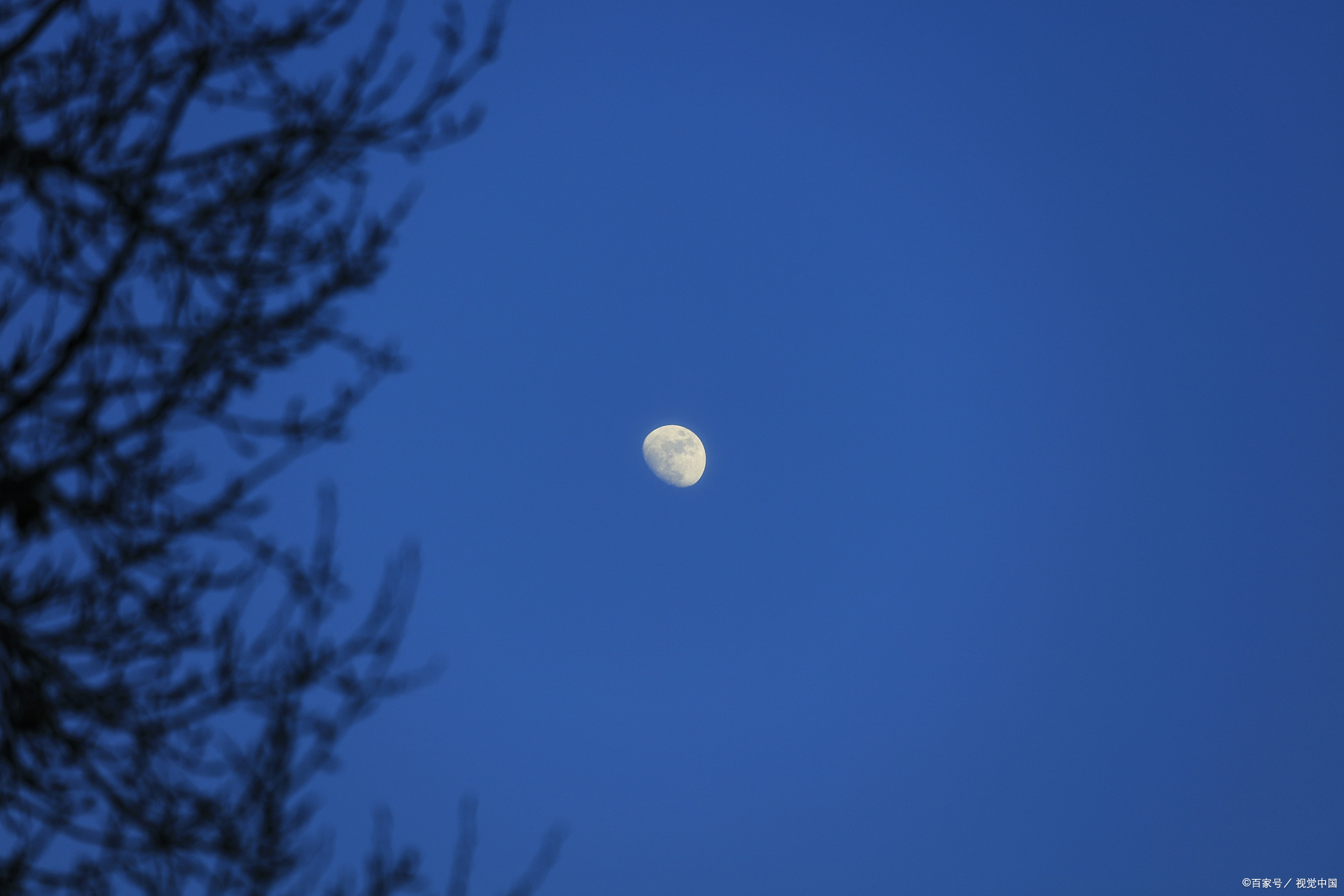 1.深蓝色的天空上,悬着无数半明半昧的星星