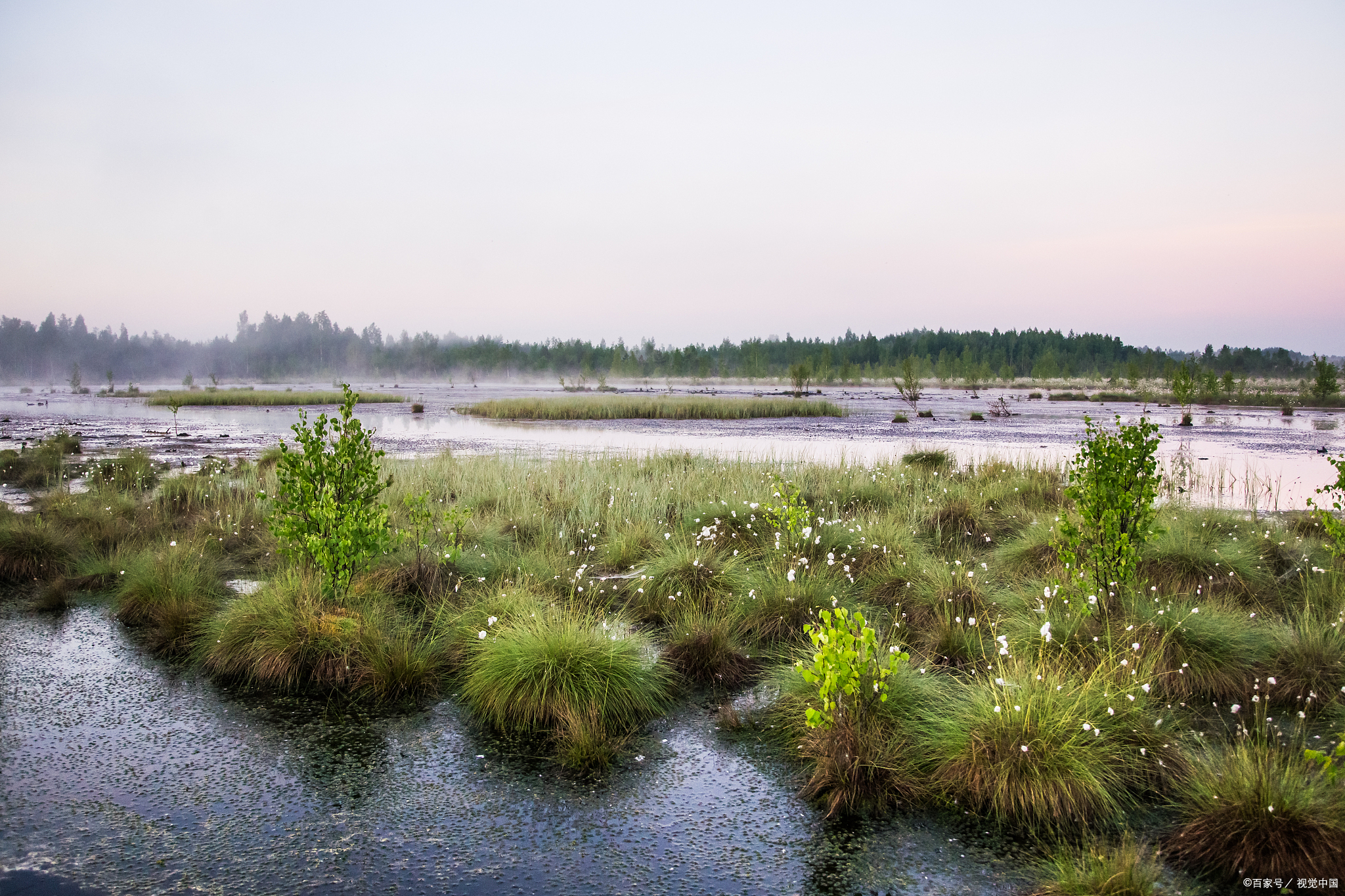 潍坊寿光滨海国家湿地公园,盐碱地植被独特,小众玩法!