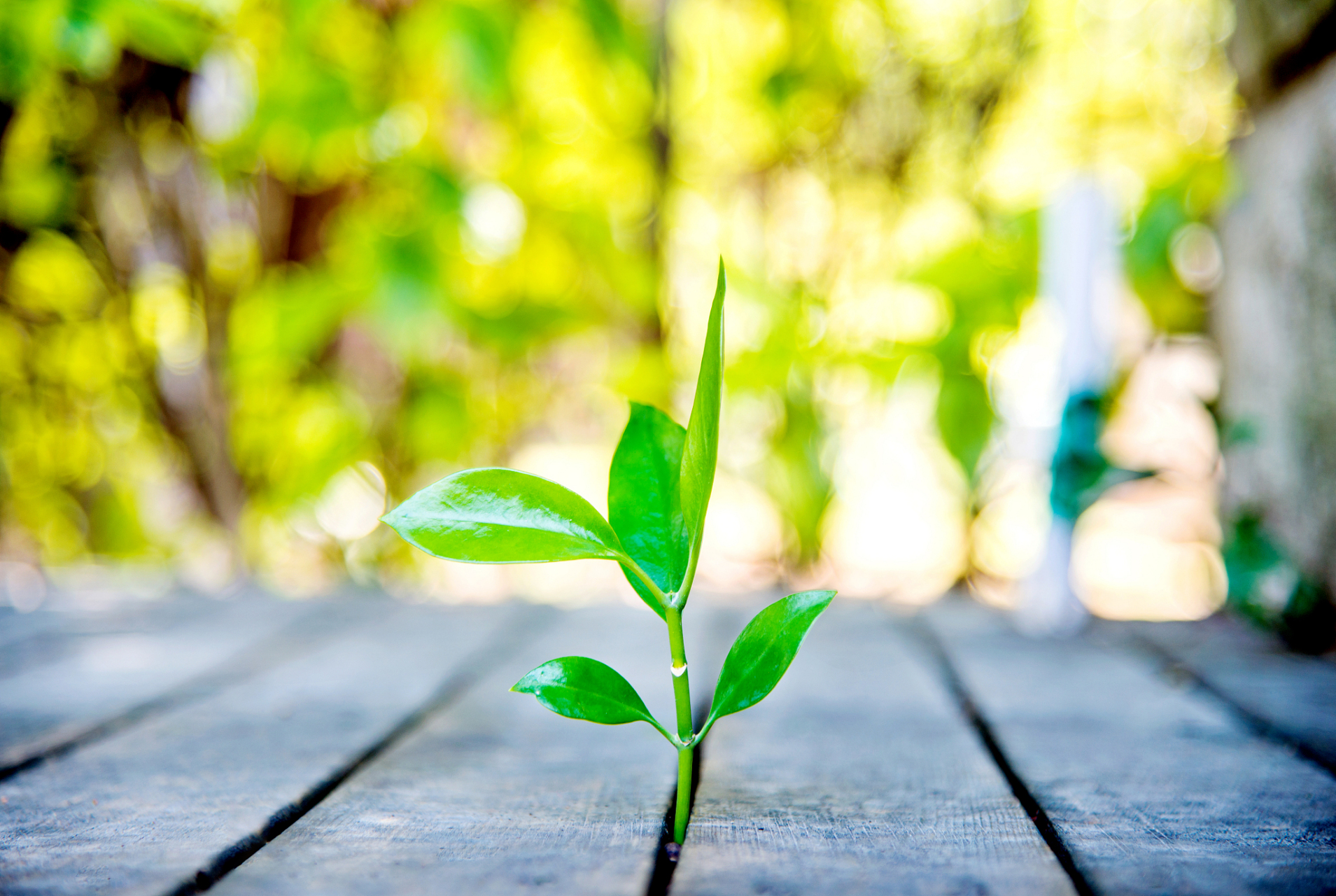 感悟生活的美好,让热爱成为生命的滋养  1.