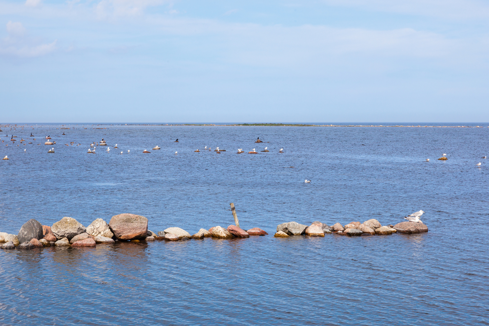 0#呼伦湖,绿意盎然的天然宝藏.