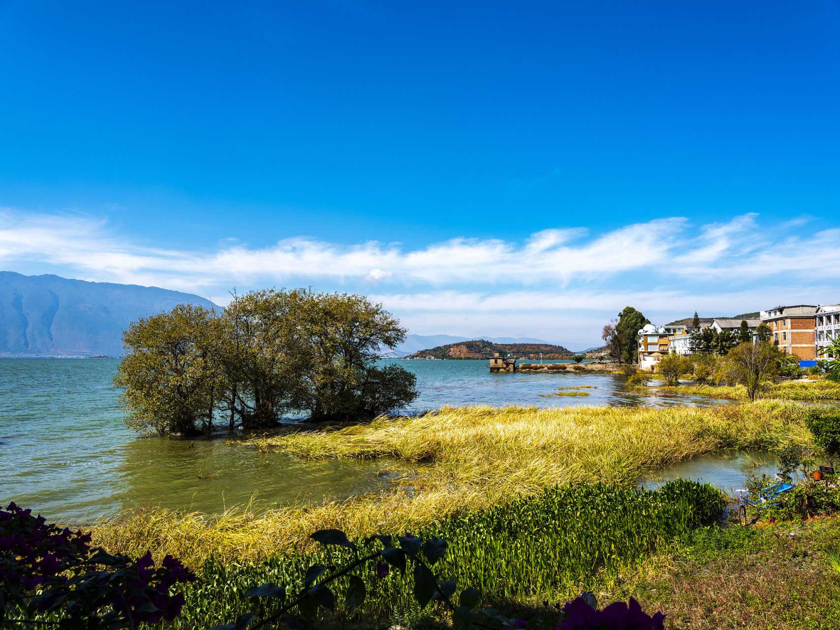 旅行中的治愈日常# 洱源西湖风景区位于大理白族自治州洱源县右所
