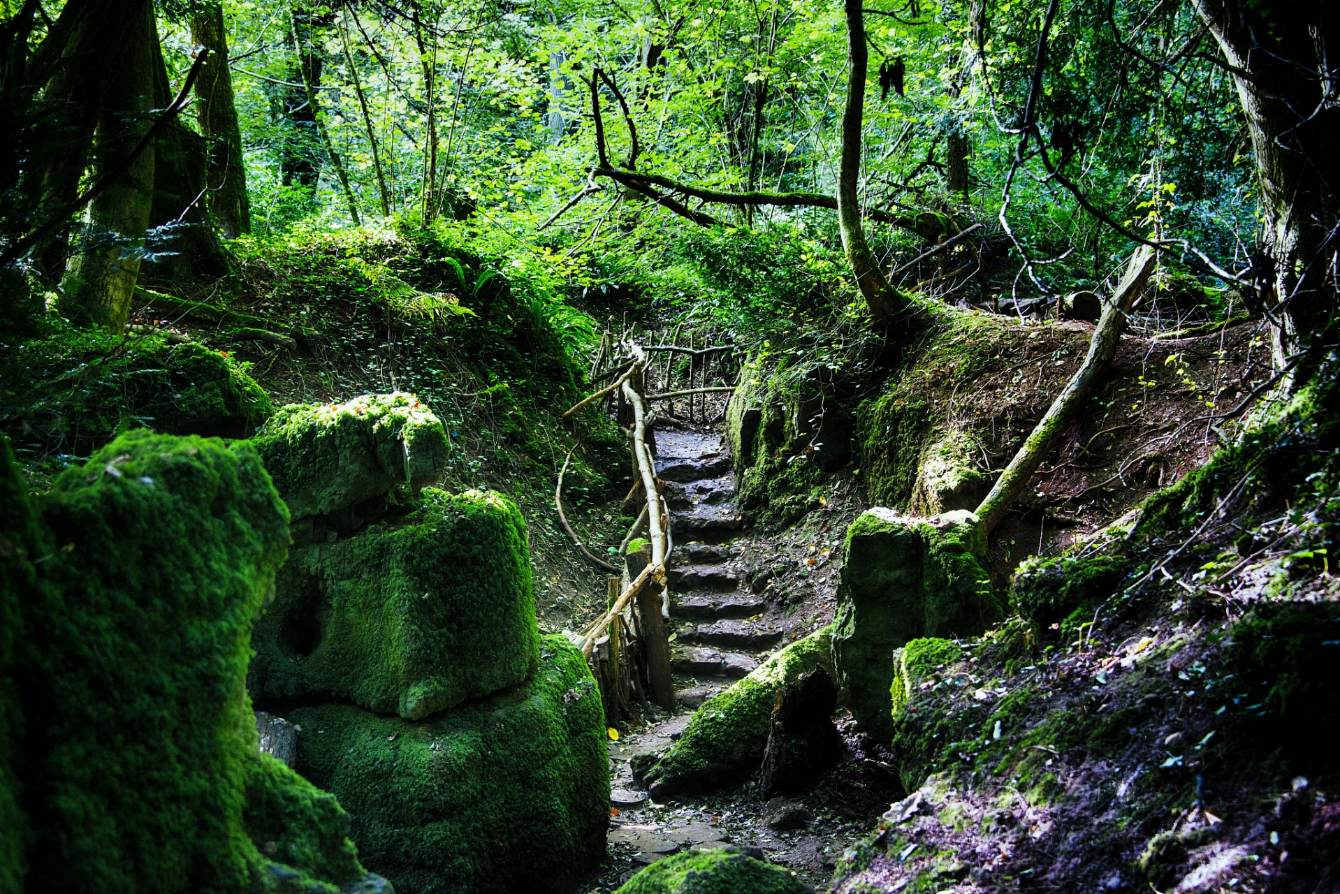 靖安县旅游景点丰富,包括宝峰寺,中部梦幻城,三爪仑观音岩等.