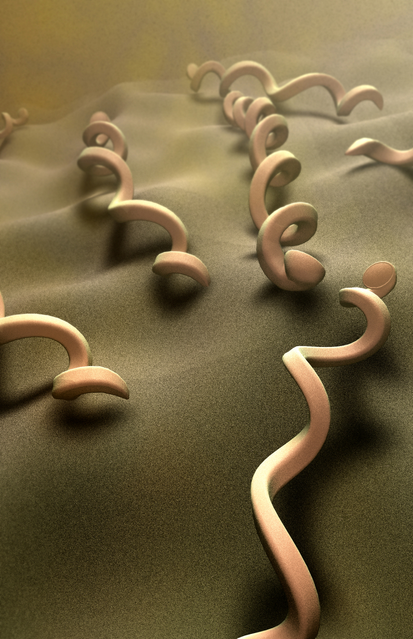 埃及血吸虫病是一种传染病 首先要明确该病的发病原因记忆该病在发病