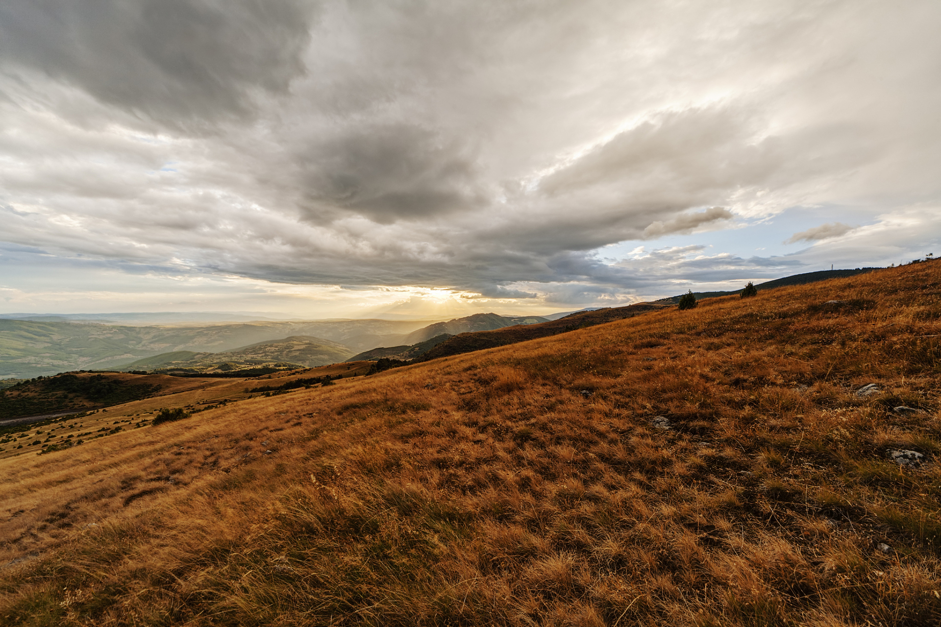 穿过旷野的风你慢些走,我用沉默告诉你我醉了酒! walk slowly through