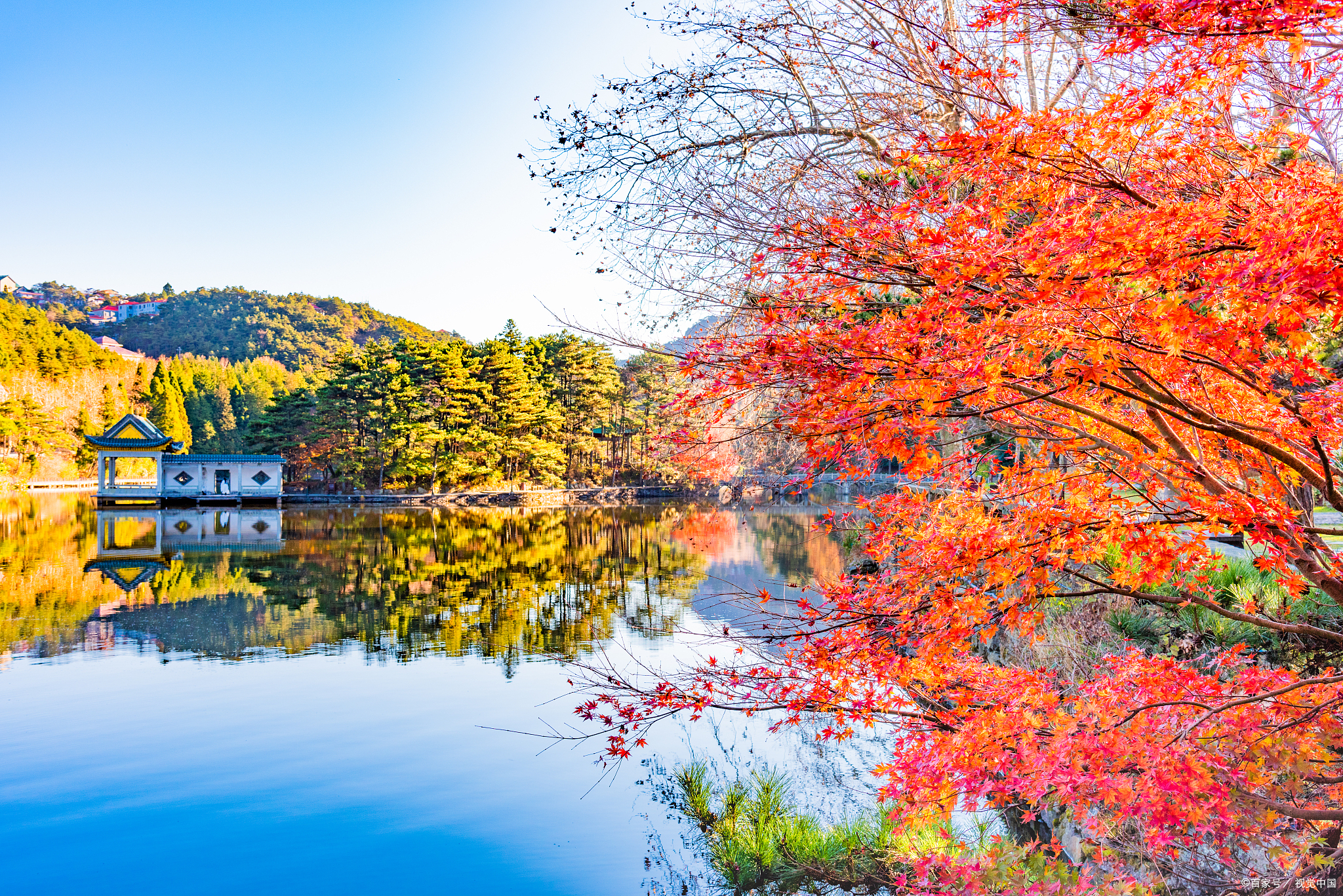 可以欣赏到漫山野的缤纷色彩,层林尽染的壮观景象,霜染叶红的美丽景色