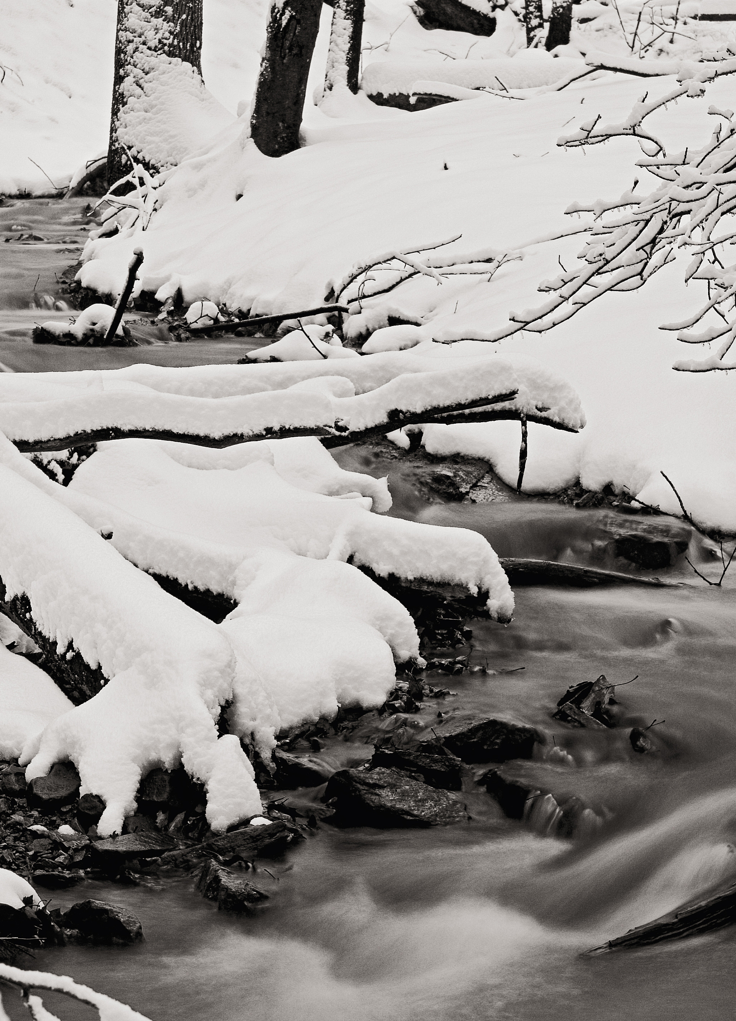 北国风光千里雪,银装素裹映天寒. 冰封万里山河壮,独领风骚傲世间.