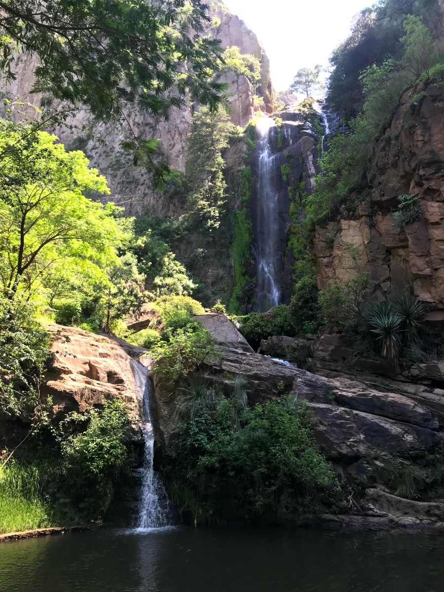 九吾山,又名马头山,乃是一处天然森林公园,坐落于风景如画的志丹县