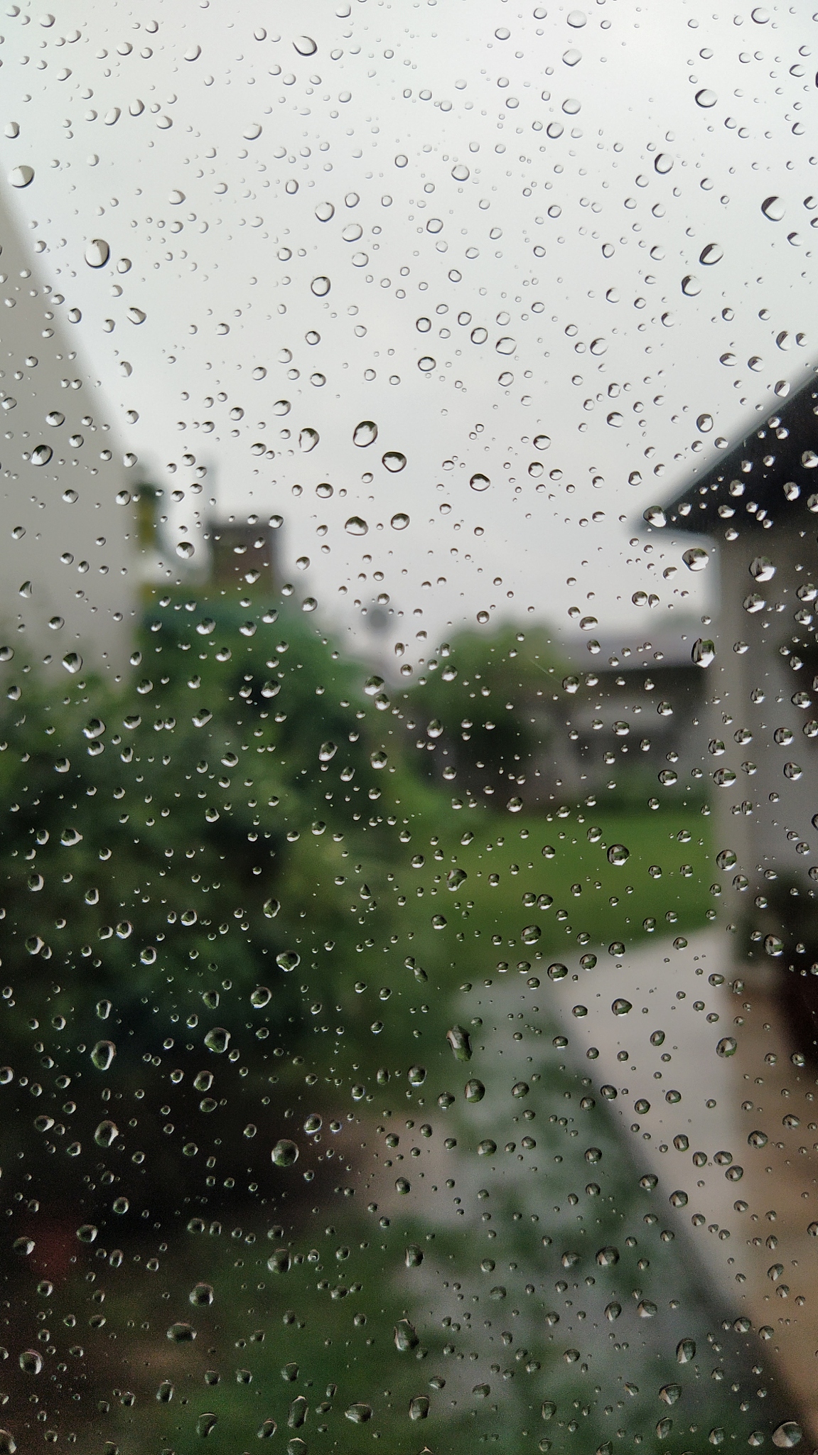 夏天下雨图片景色大图图片