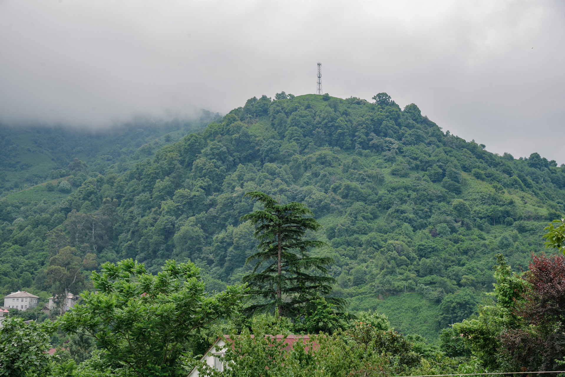 吉安青原山风景区门票图片