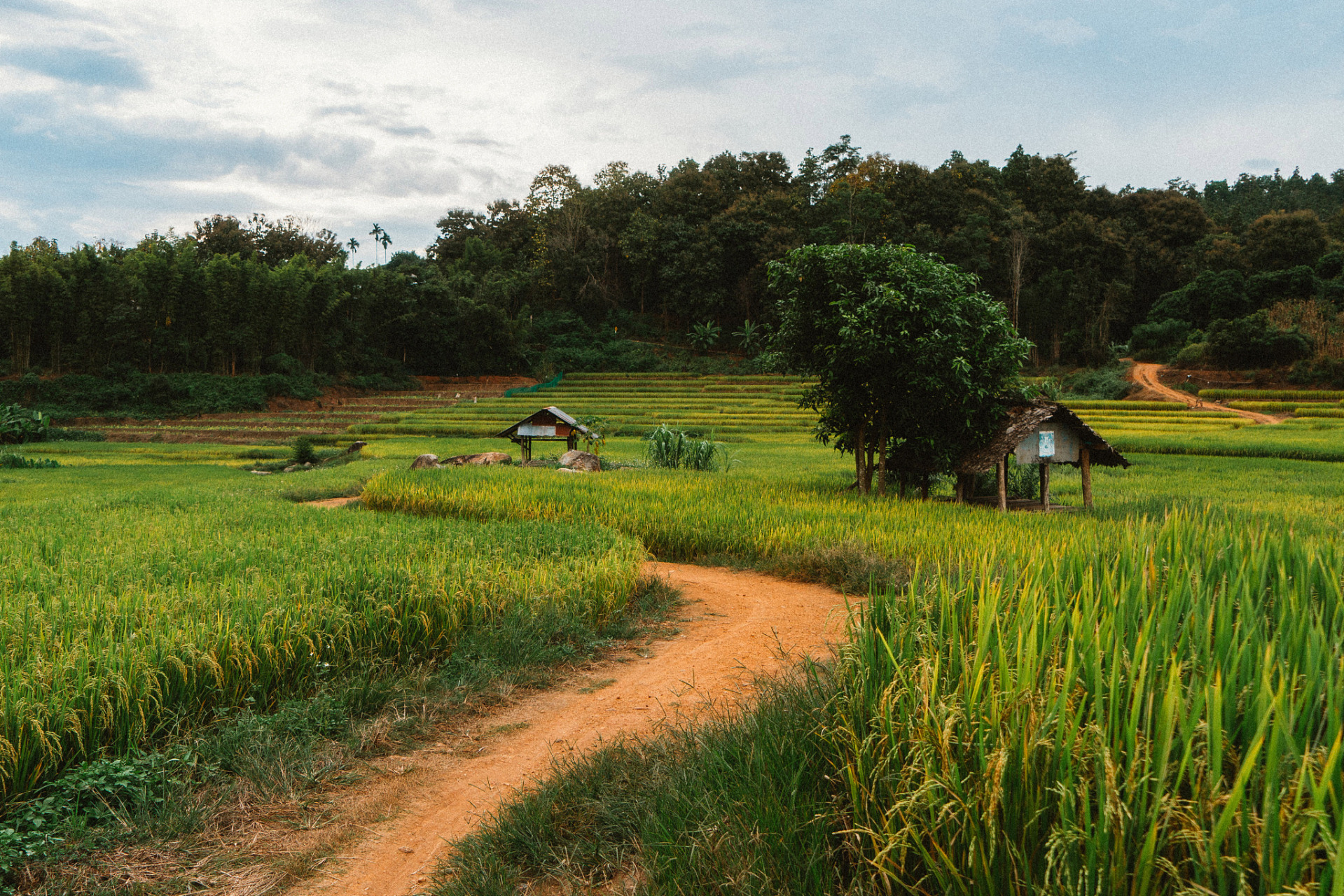 我是农村人,我为农村代言!这就是我家乡的田园风景!